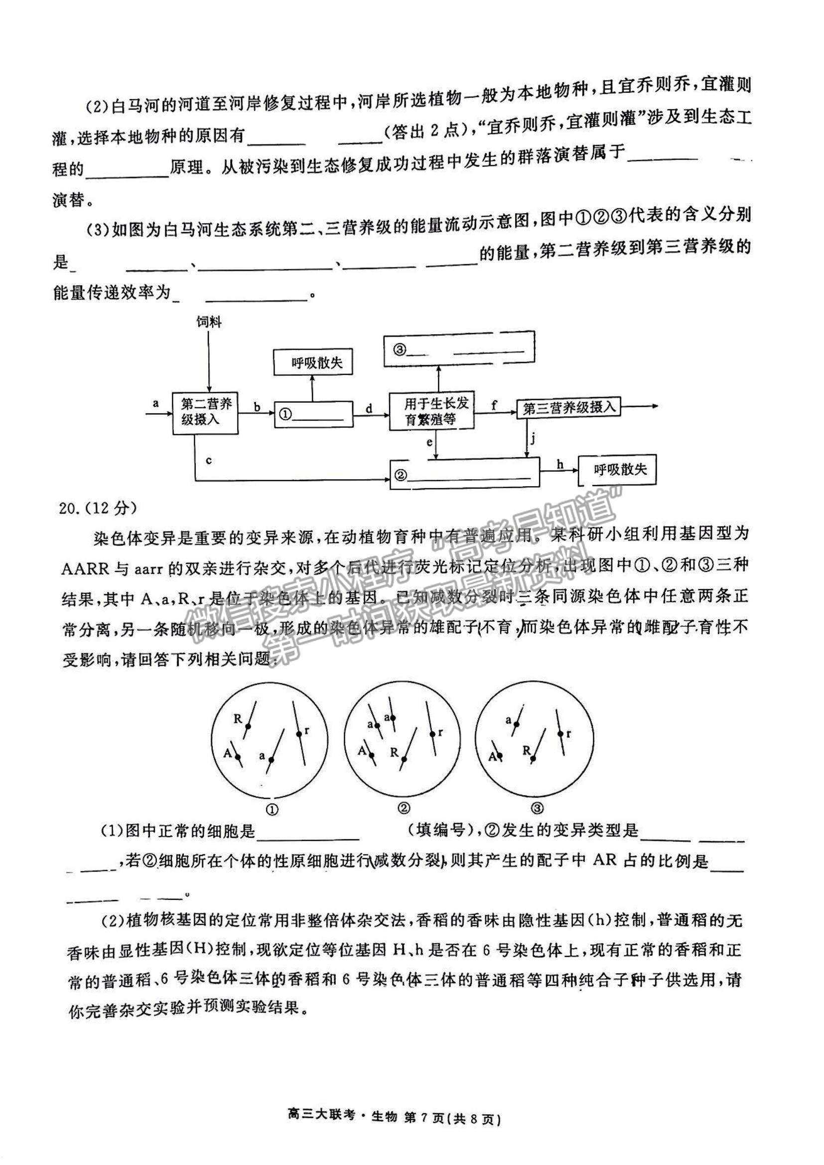 2023廣東衡水金卷高三11月聯(lián)考生物試題及參考答案