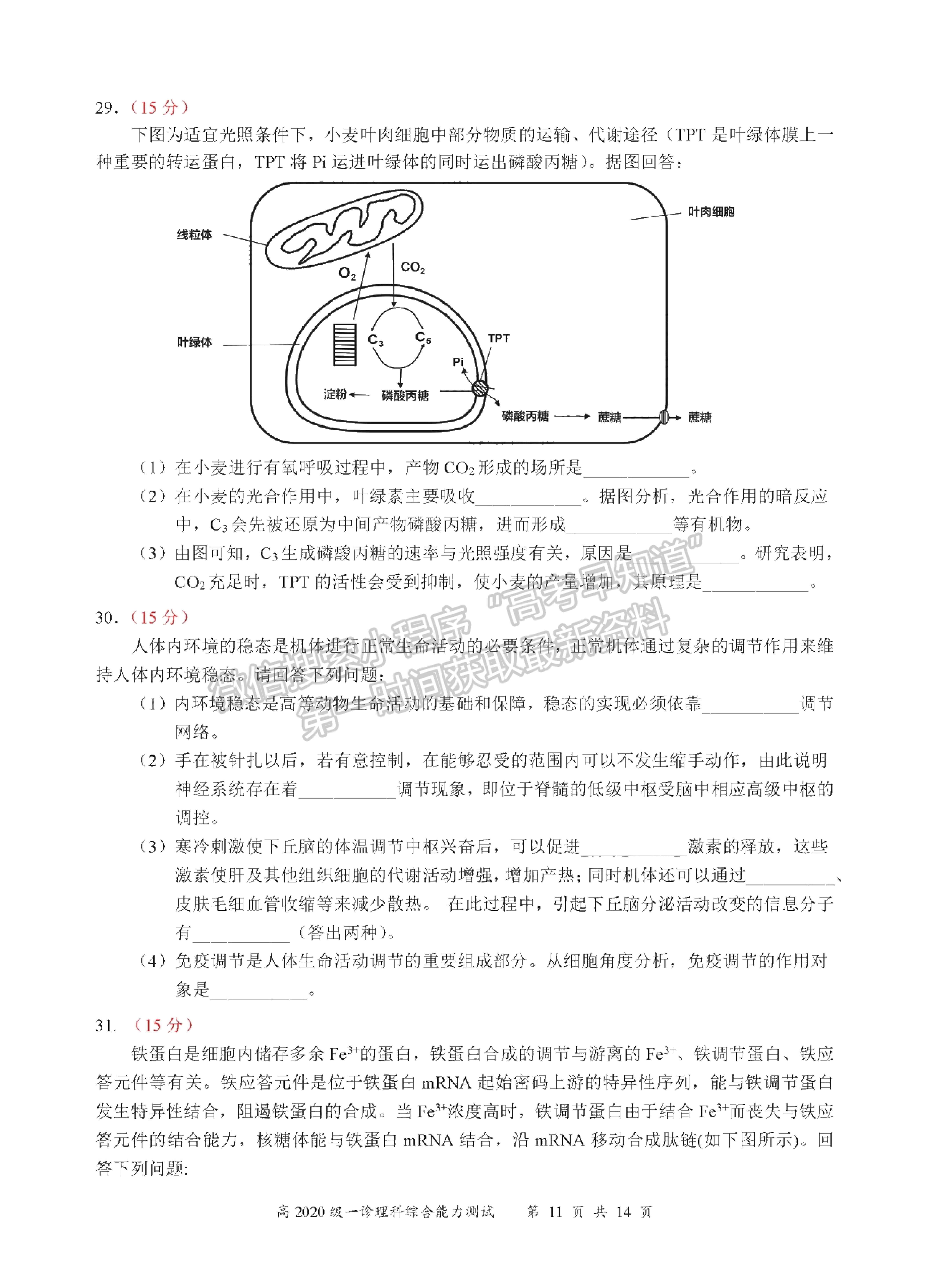 2023四川省宜賓市普通高中2020級第一次診斷考試?yán)砜凭C合試題及答案