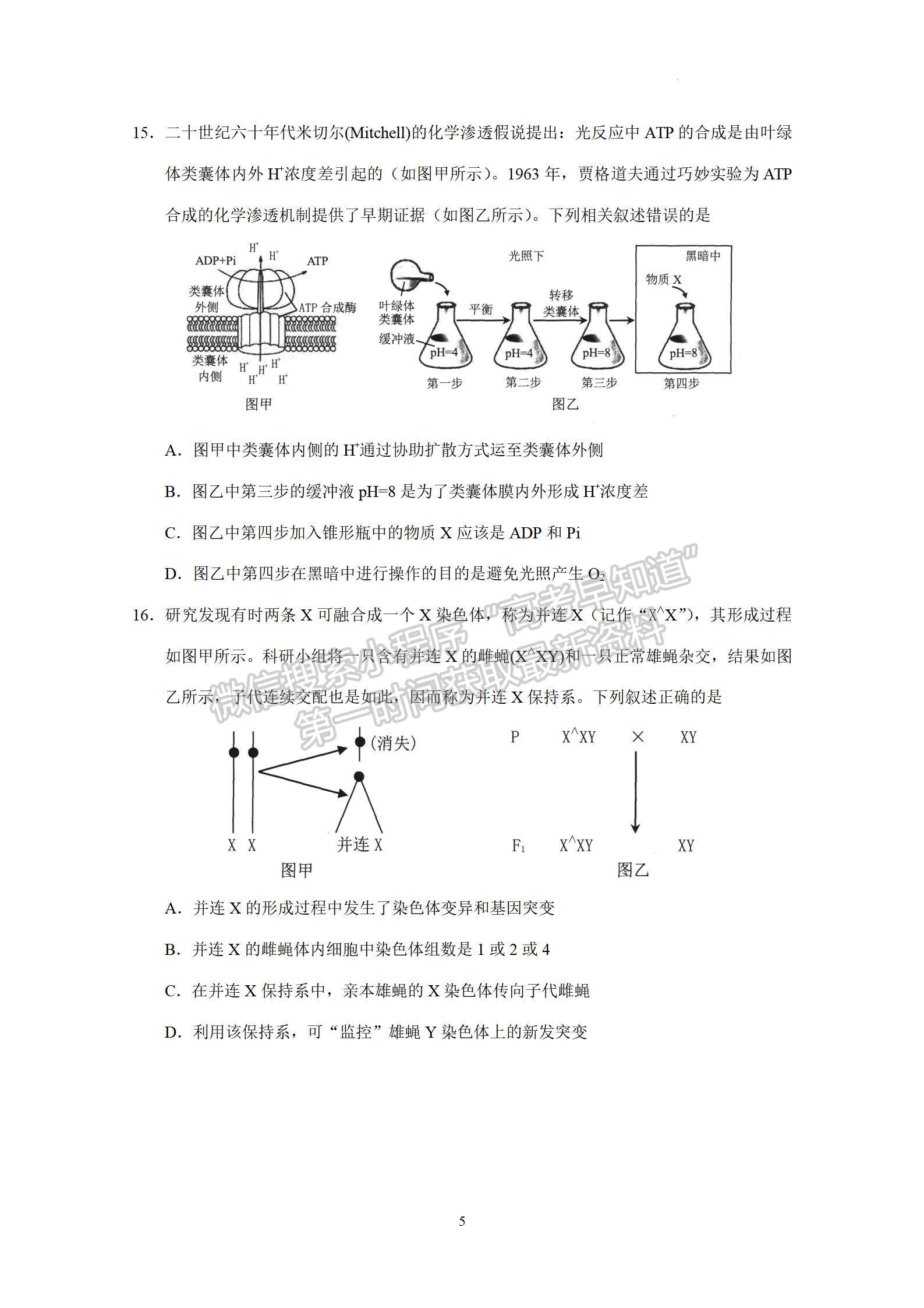 2023廣州市高三上學(xué)期11月調(diào)研測試生物試題及答案