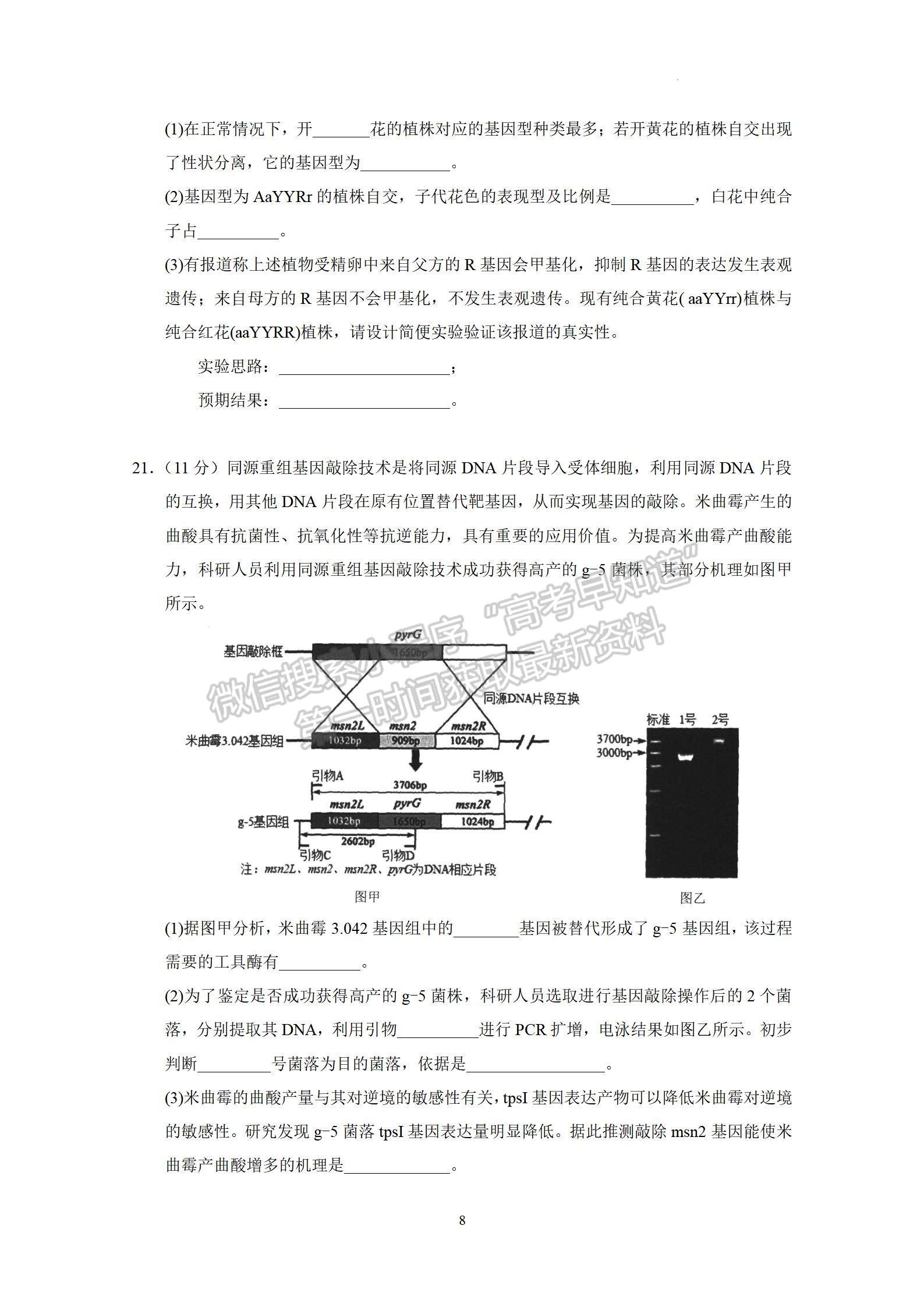 2023廣州市高三上學(xué)期11月調(diào)研測(cè)試生物試題及答案