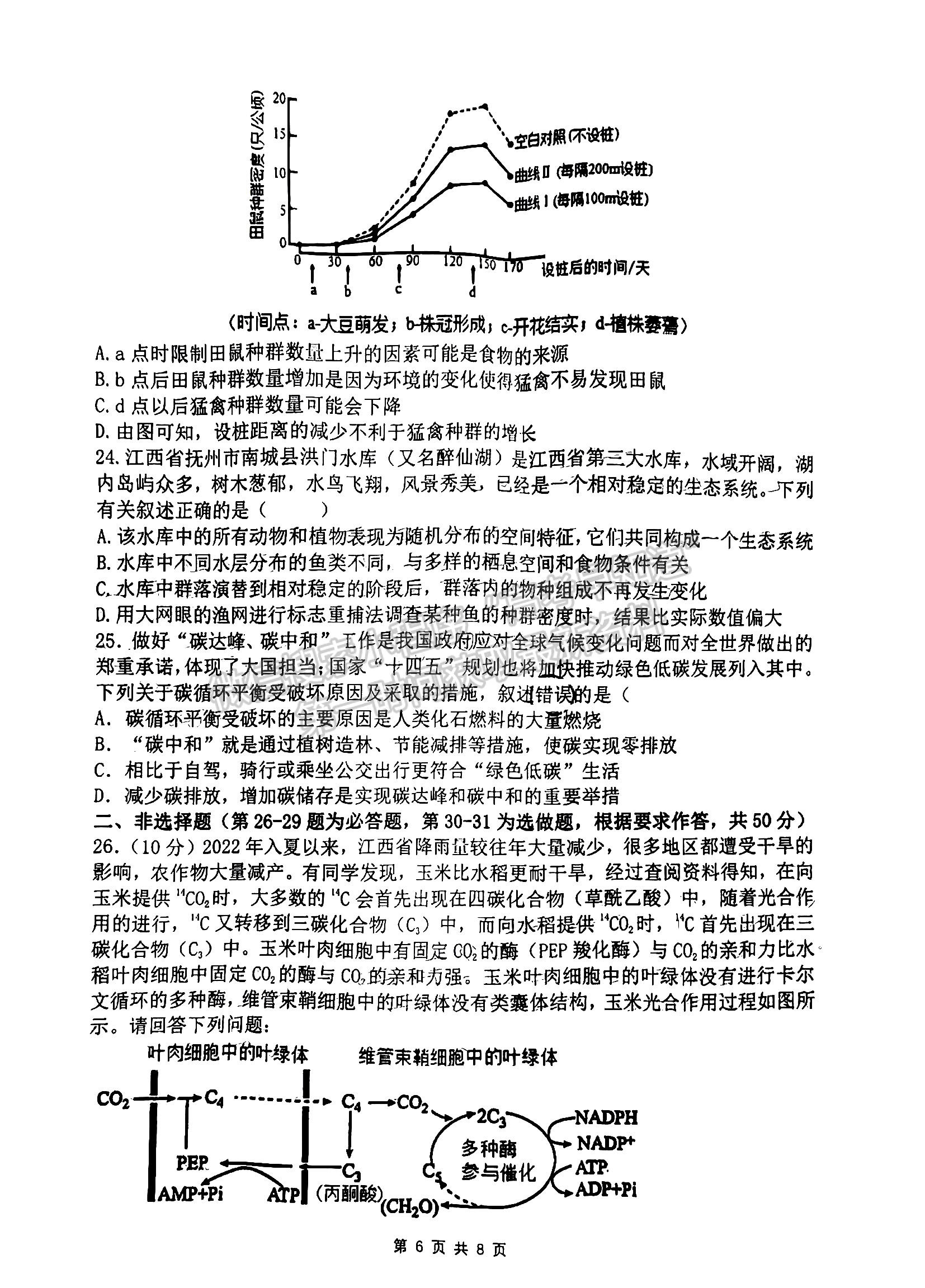 2023江西省臨川第一中學高三上學期生物11月教學質(zhì)量檢測