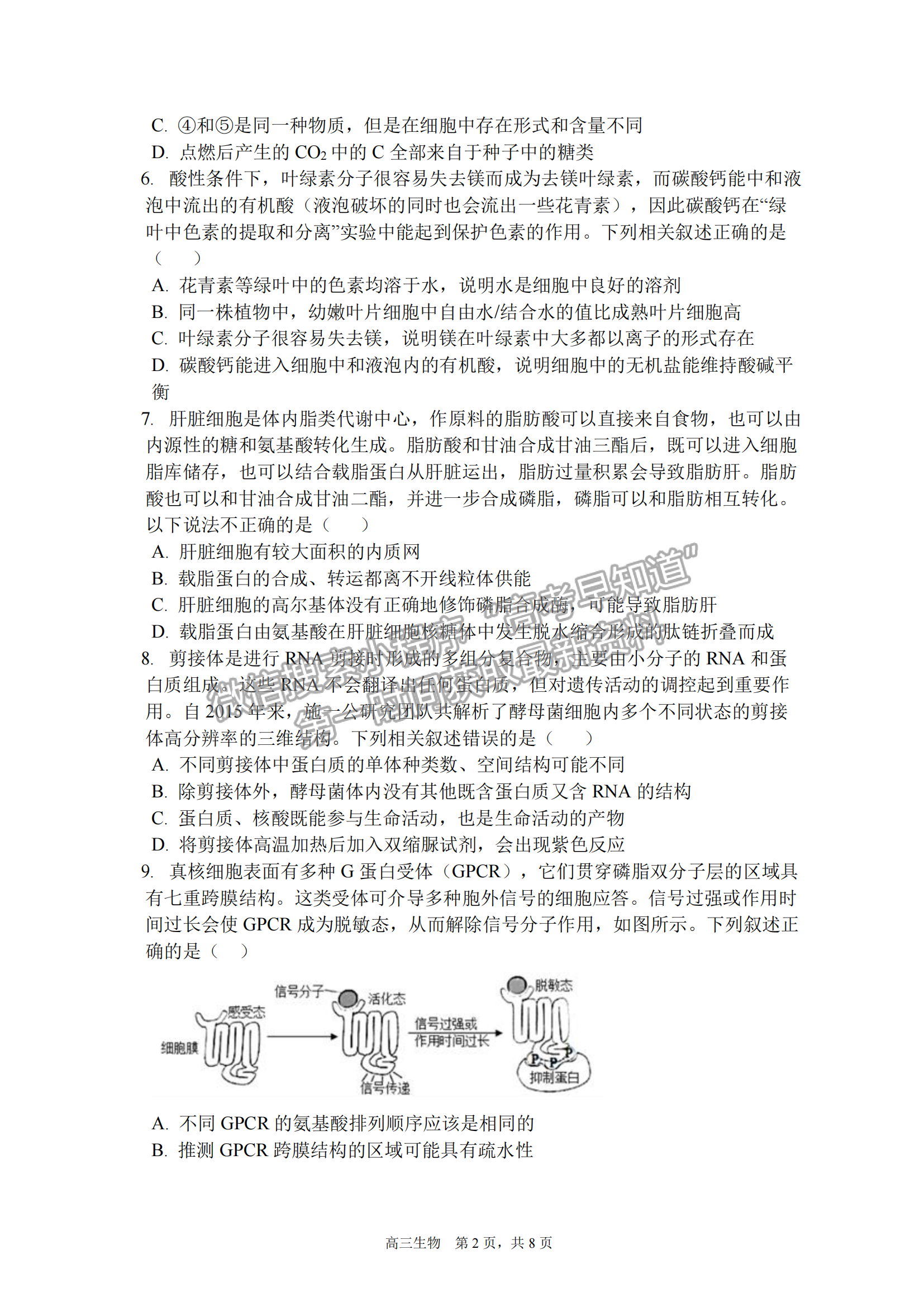 2023安徽合肥一中高三（上）階段性診斷考試生物試卷及答案