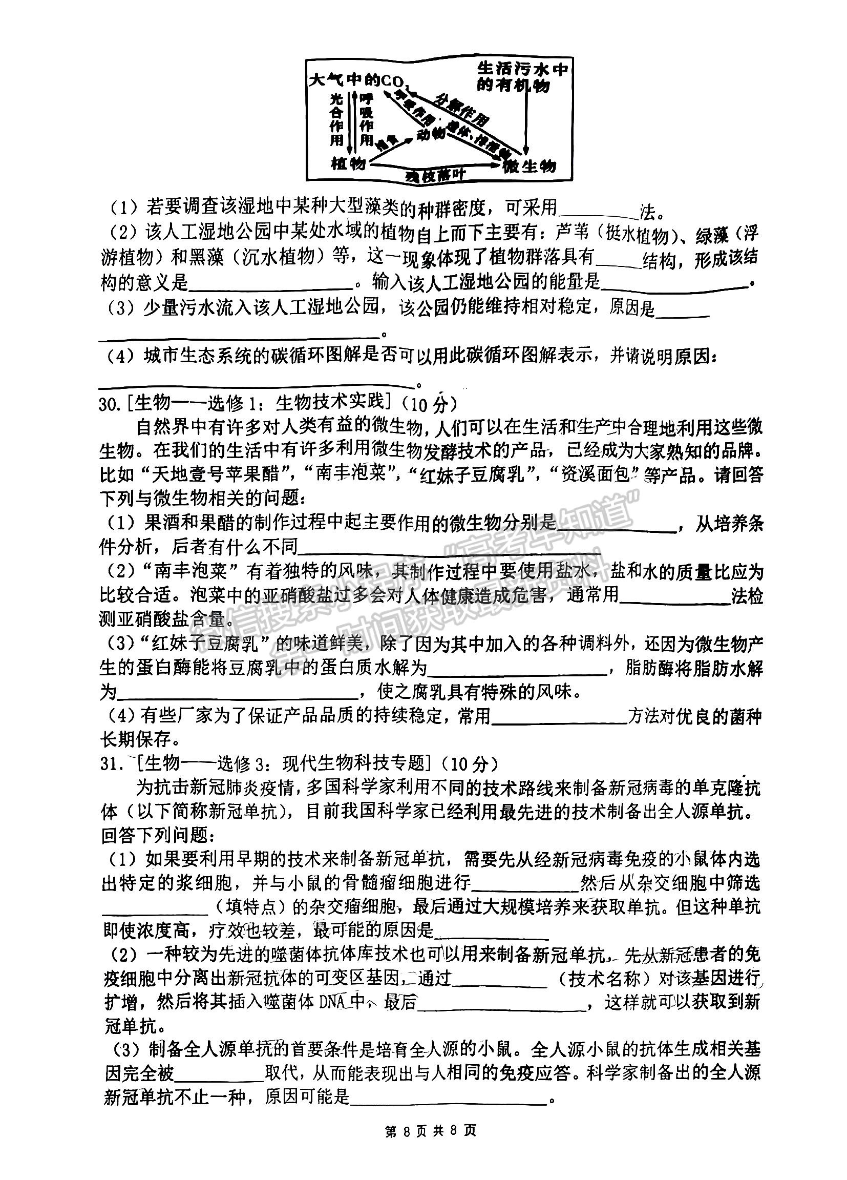 2023江西省臨川第一中學(xué)高三上學(xué)期生物11月教學(xué)質(zhì)量檢測(cè)