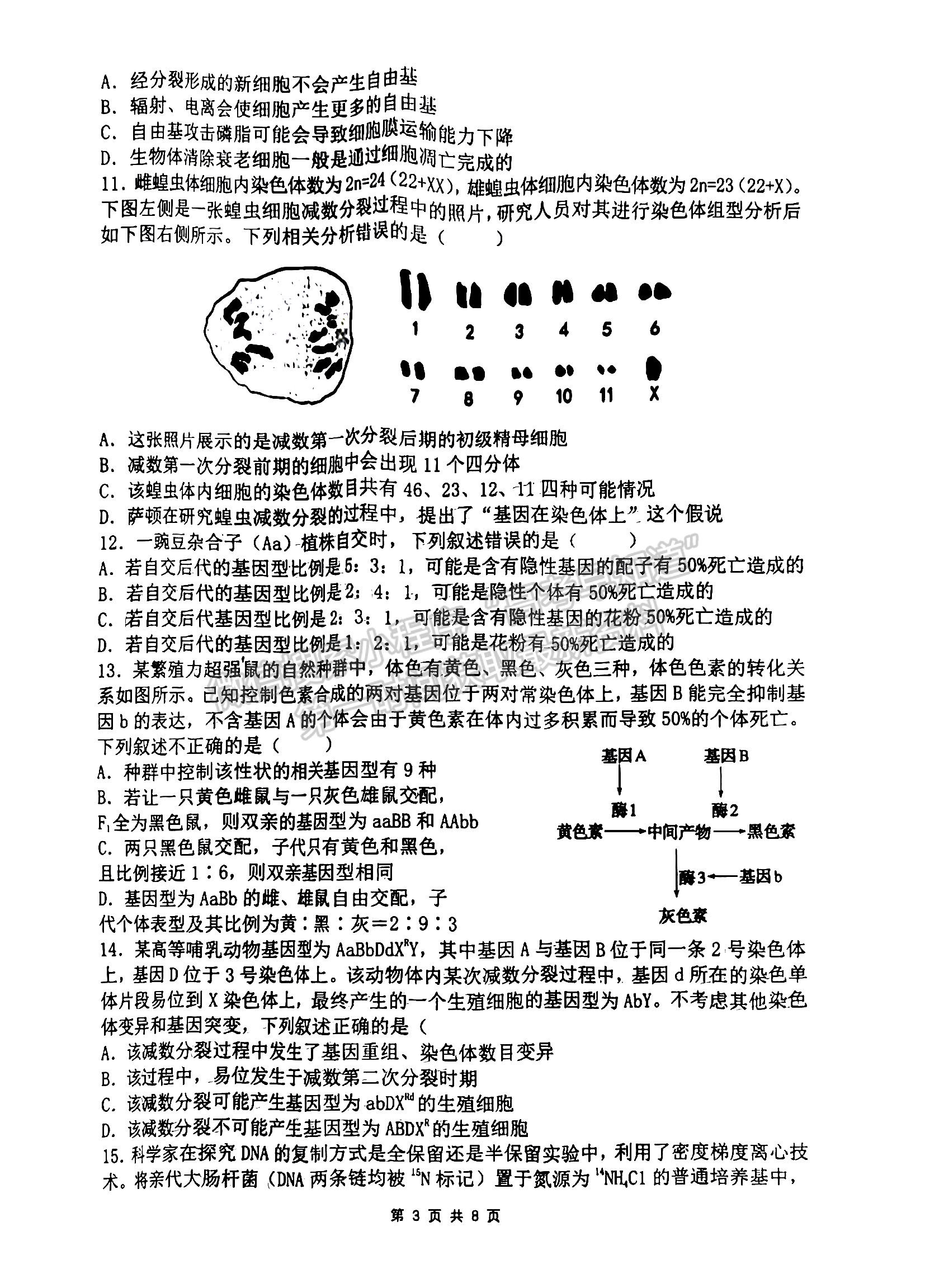 2023江西省臨川第一中學高三上學期生物11月教學質(zhì)量檢測