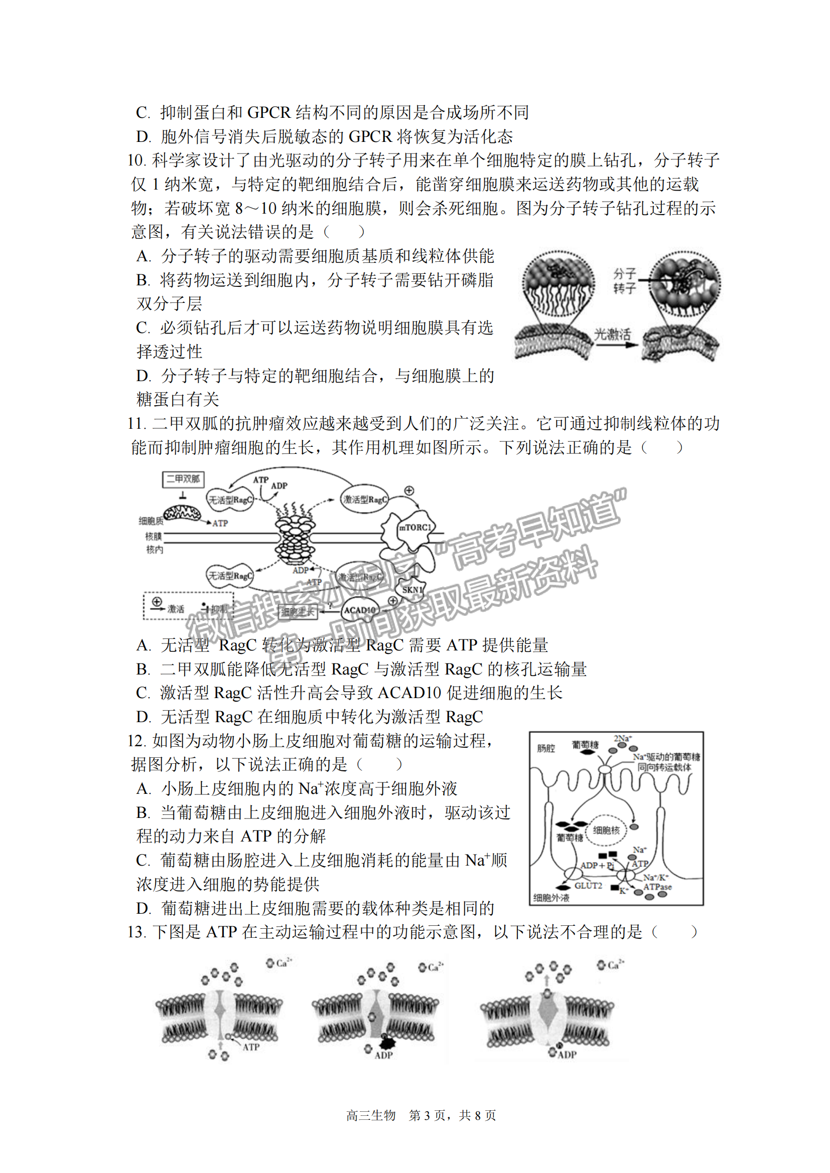 2023安徽合肥一中高三（上）階段性診斷考試生物試卷及答案