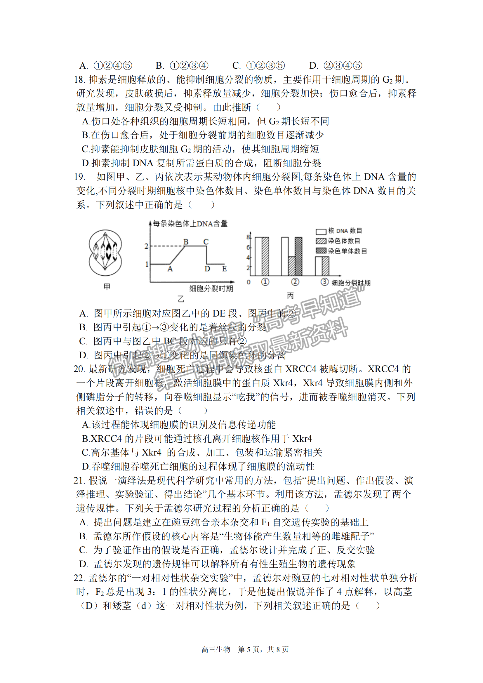 2023安徽合肥一中高三（上）階段性診斷考試生物試卷及答案