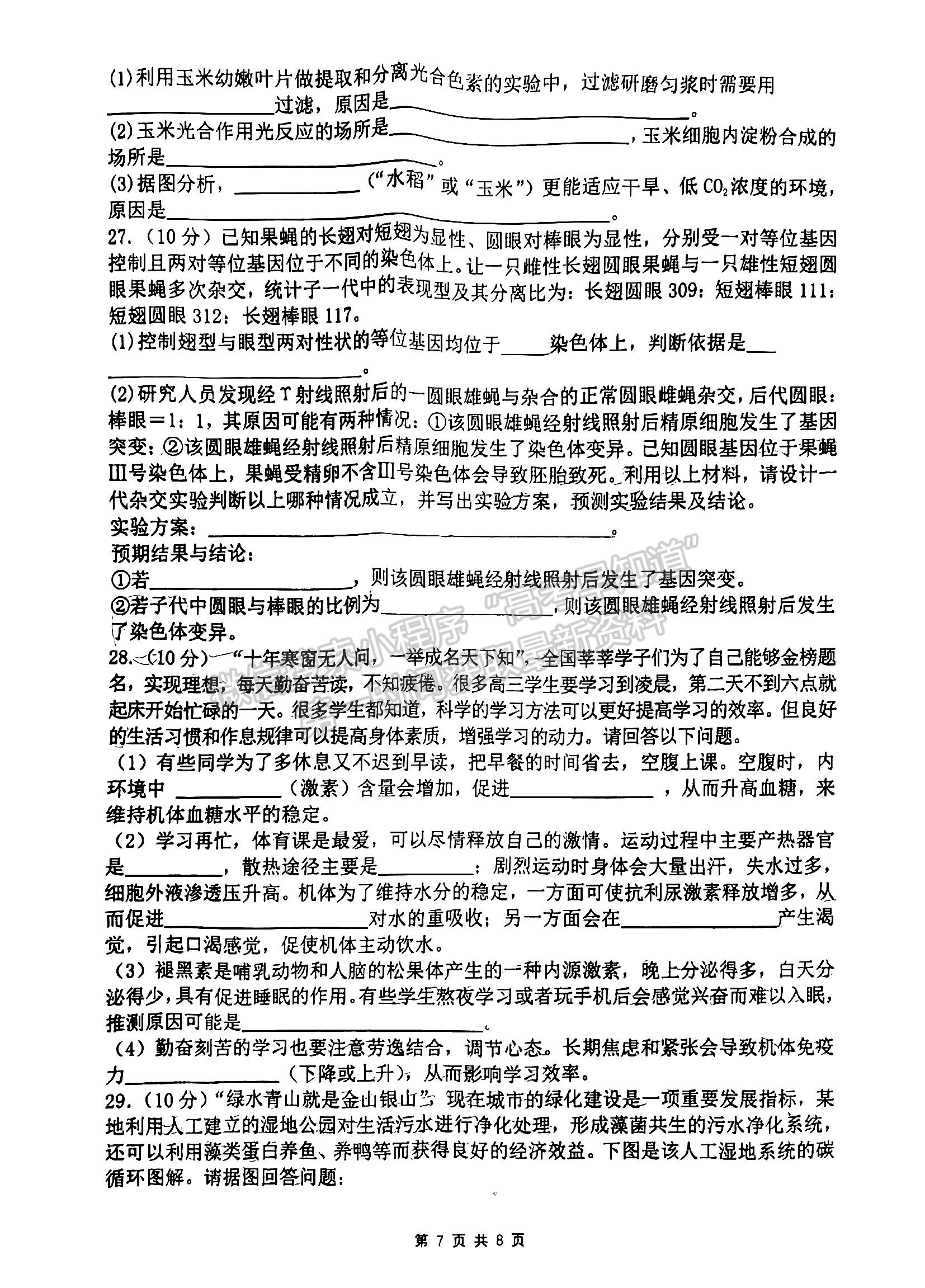 2023江西省臨川第一中學(xué)高三上學(xué)期生物11月教學(xué)質(zhì)量檢測(cè)