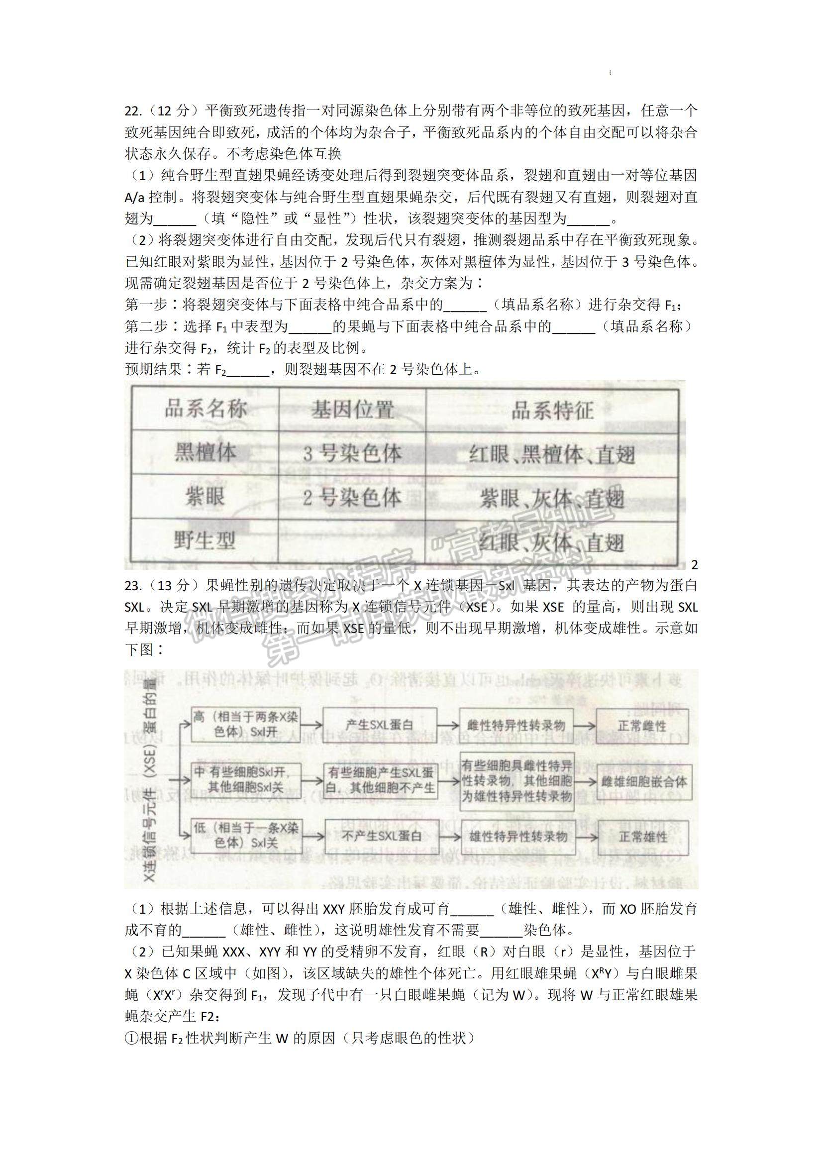 2023山東省濟(jì)寧市高三上學(xué)期期中考-生物試卷及答案