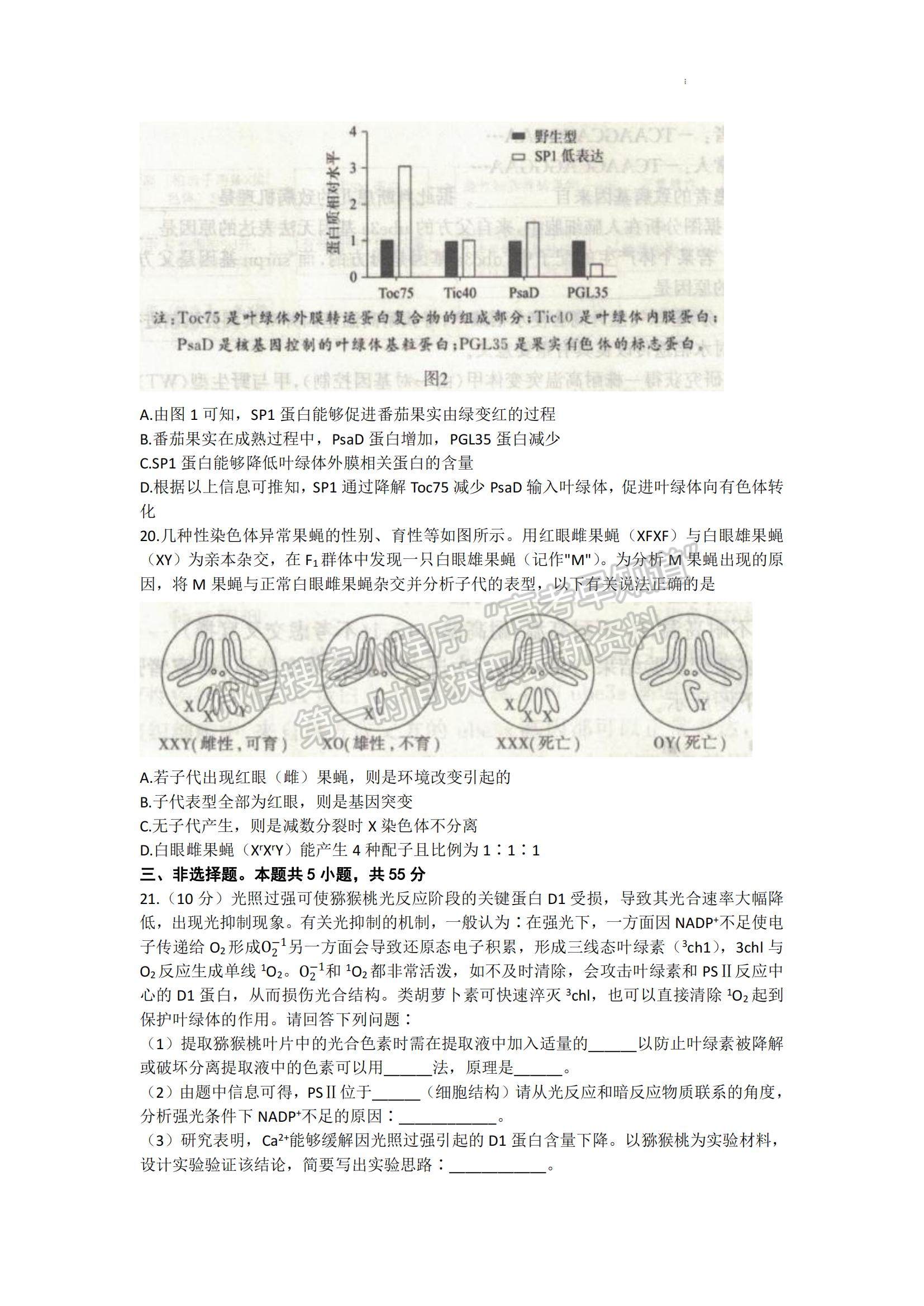 2023山東省濟(jì)寧市高三上學(xué)期期中考-生物試卷及答案