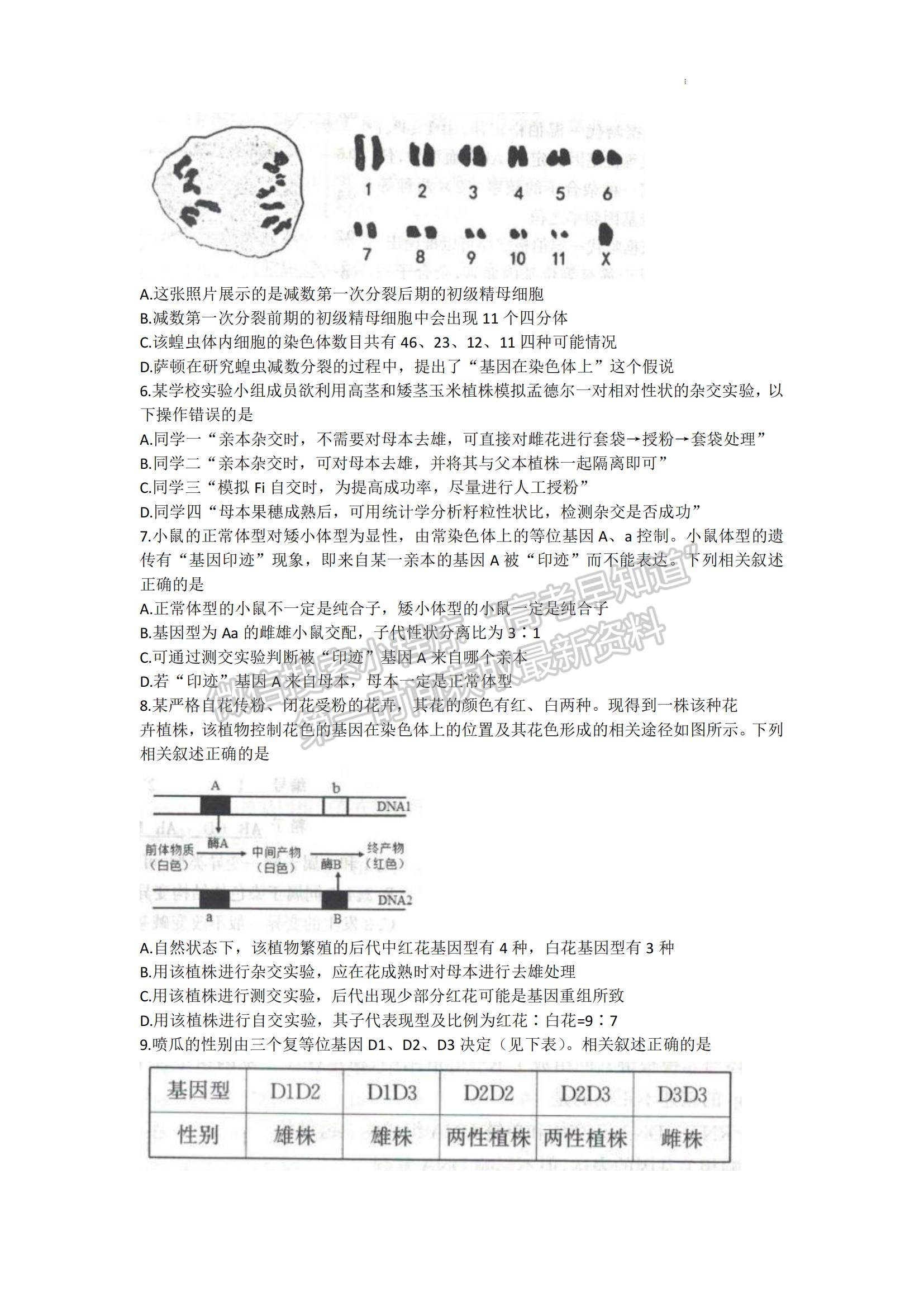 2023山東省濟寧市高三上學期期中考-生物試卷及答案