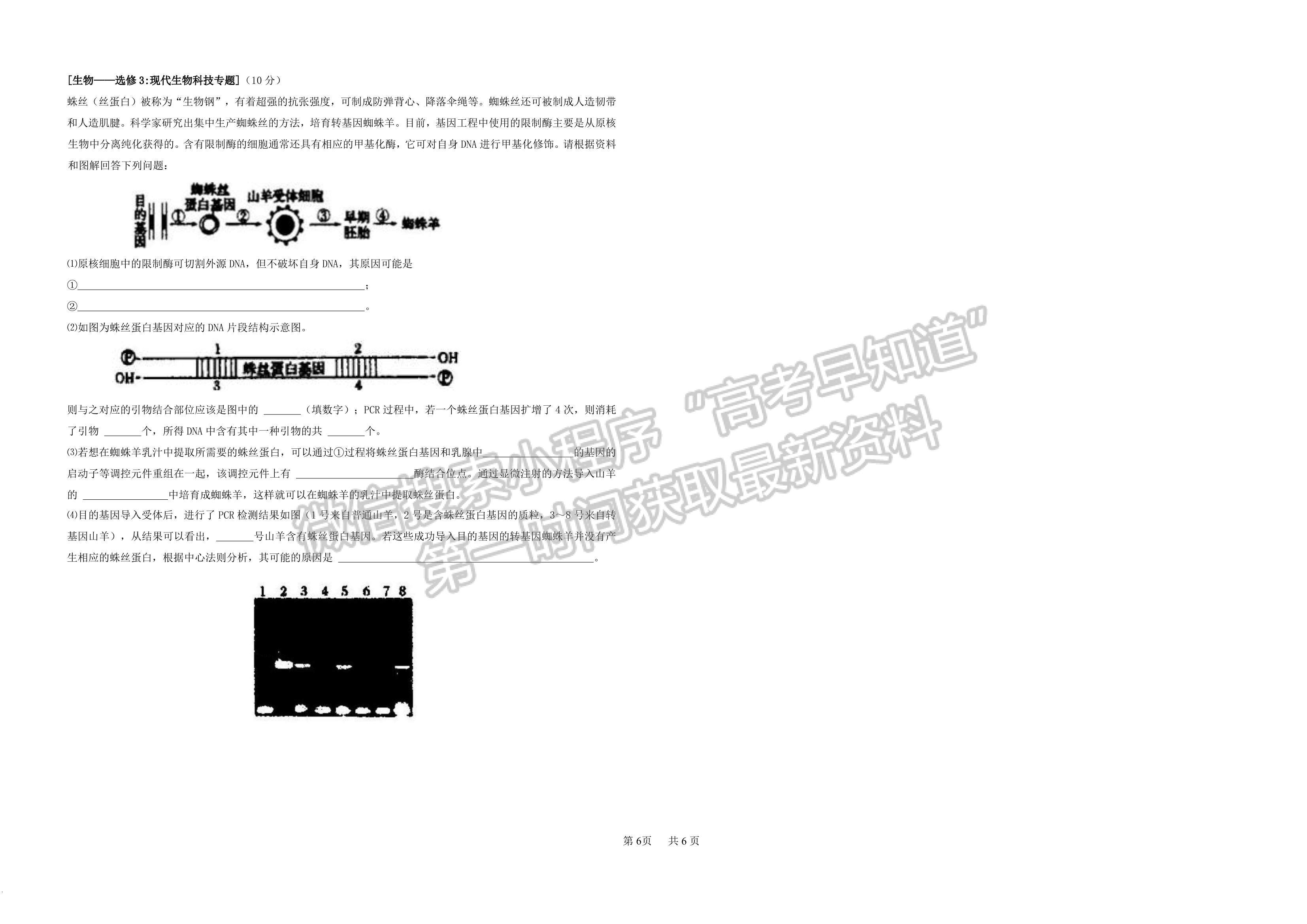 2023江西省新余市第一中學(xué)、江西省豐城中學(xué)高三上學(xué)期聯(lián)考（生物）