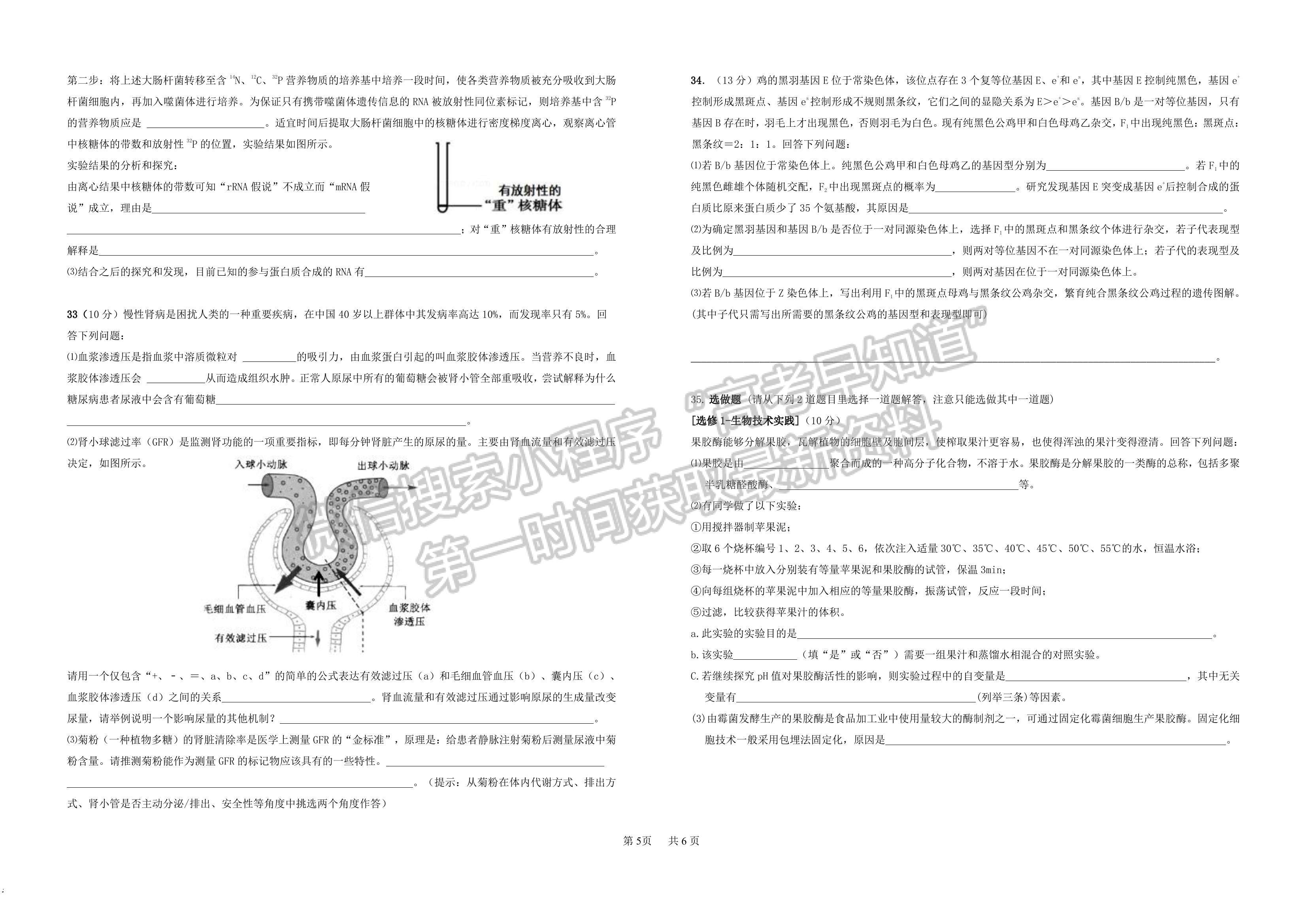 2023江西省新余市第一中學、江西省豐城中學高三上學期聯(lián)考（生物）