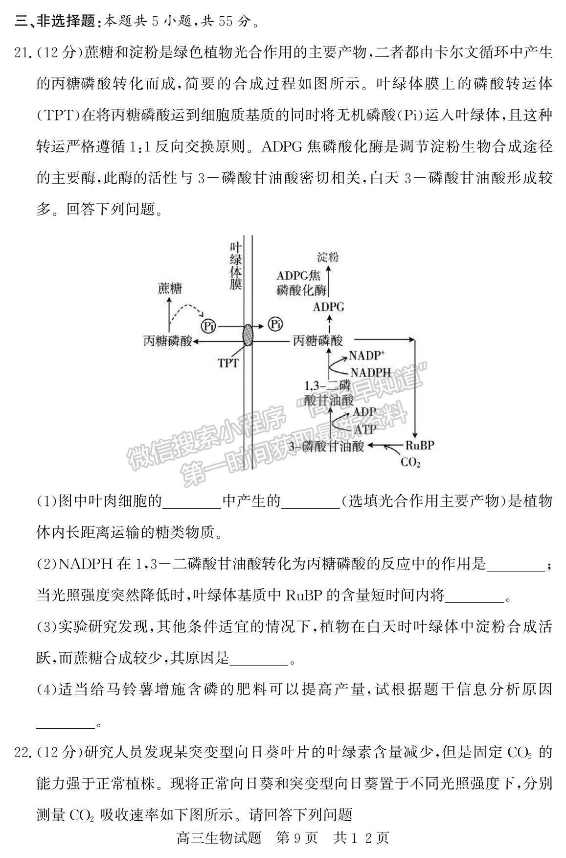 2023山東省濟寧市泗水縣高三上學期期中考-生物試卷及答案