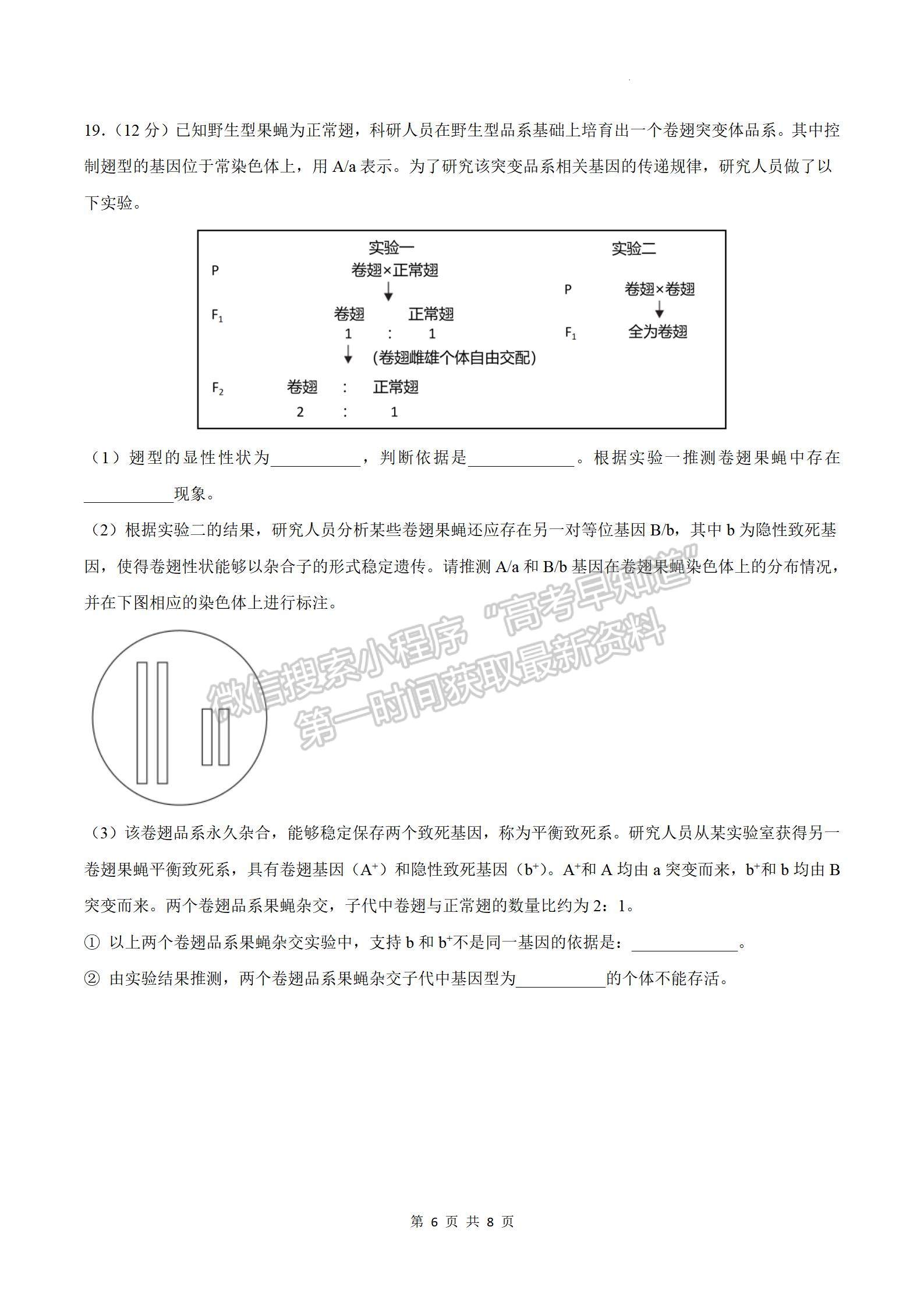 2023廣東華南師大附中高三月考二生物試題及參考答案