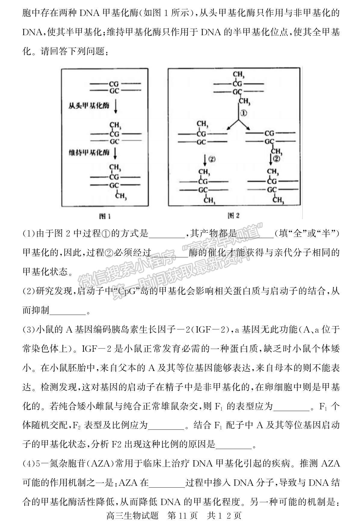 2023山東省濟寧市泗水縣高三上學期期中考-生物試卷及答案