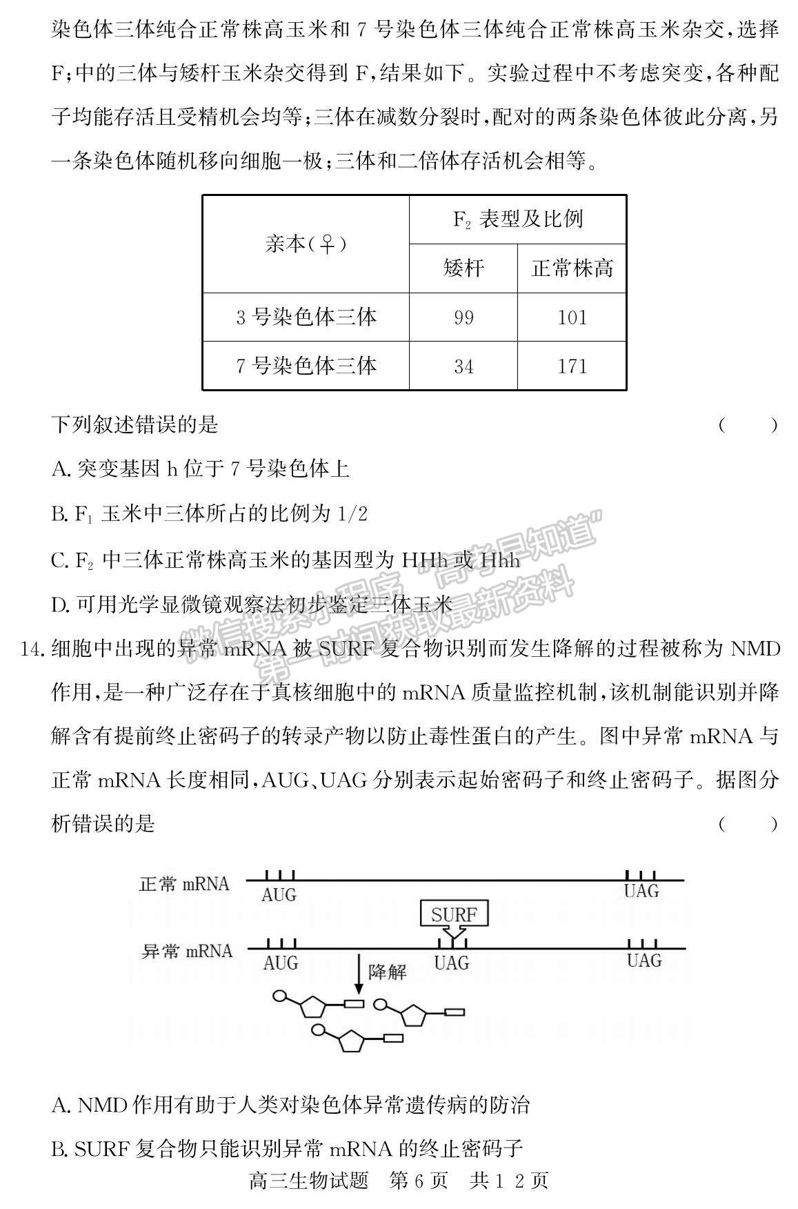 2023山東省濟寧市泗水縣高三上學(xué)期期中考-生物試卷及答案