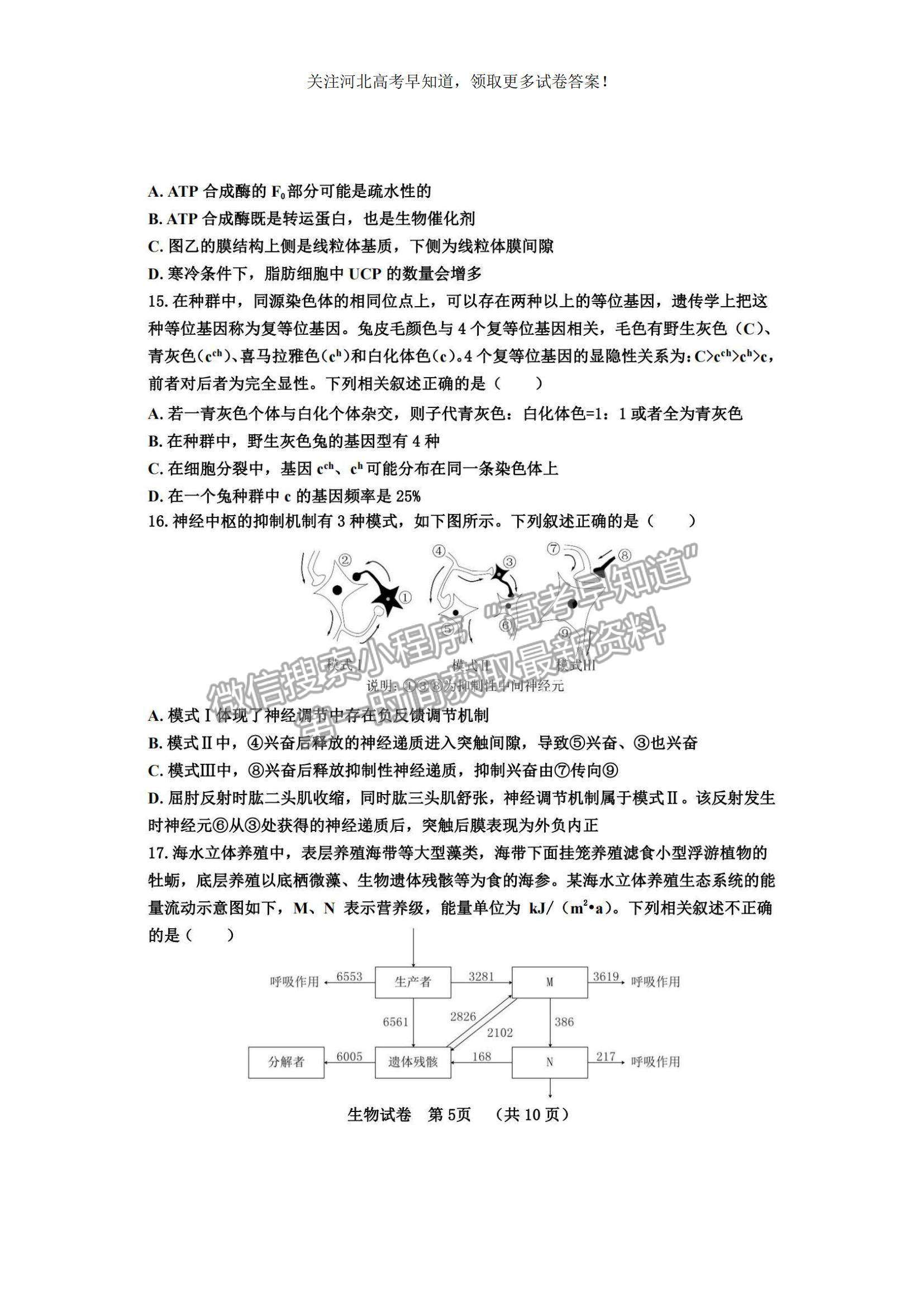 2023河北省“五個(gè)一”名校聯(lián)盟高三摸底考試生物試題及參考答案