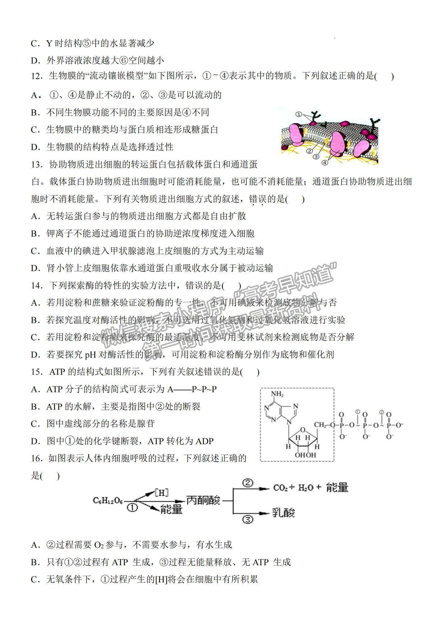 江西南昌八中2023屆高三上學期11月月考試卷及答案（生物）