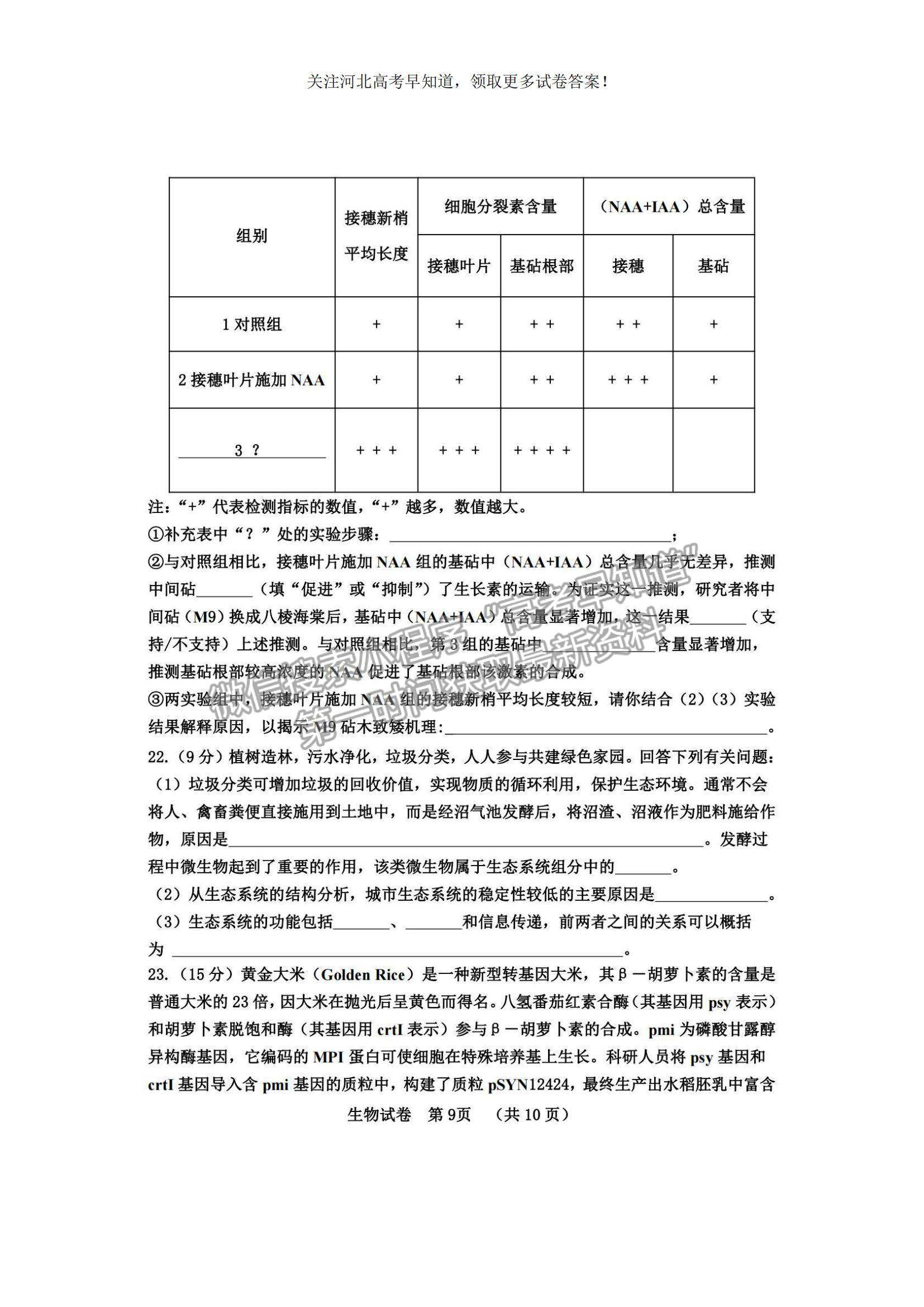 2023河北省“五個一”名校聯(lián)盟高三摸底考試生物試題及參考答案