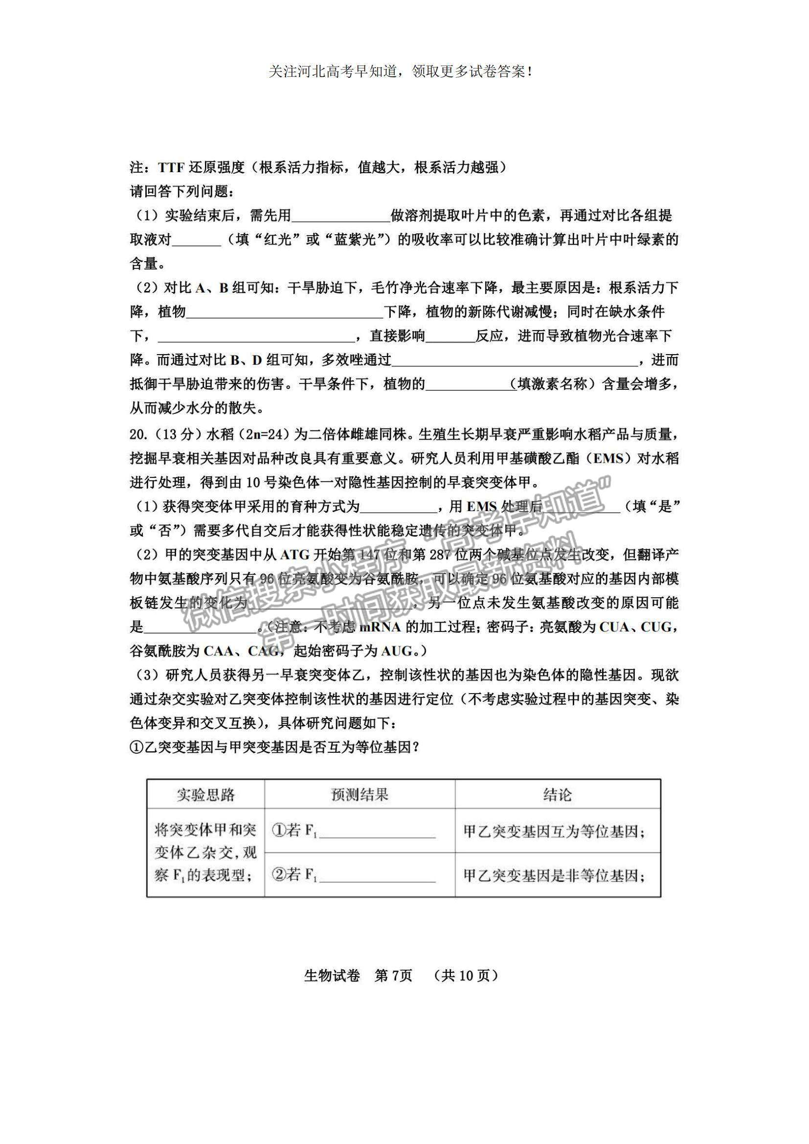 2023河北省“五個一”名校聯(lián)盟高三摸底考試生物試題及參考答案