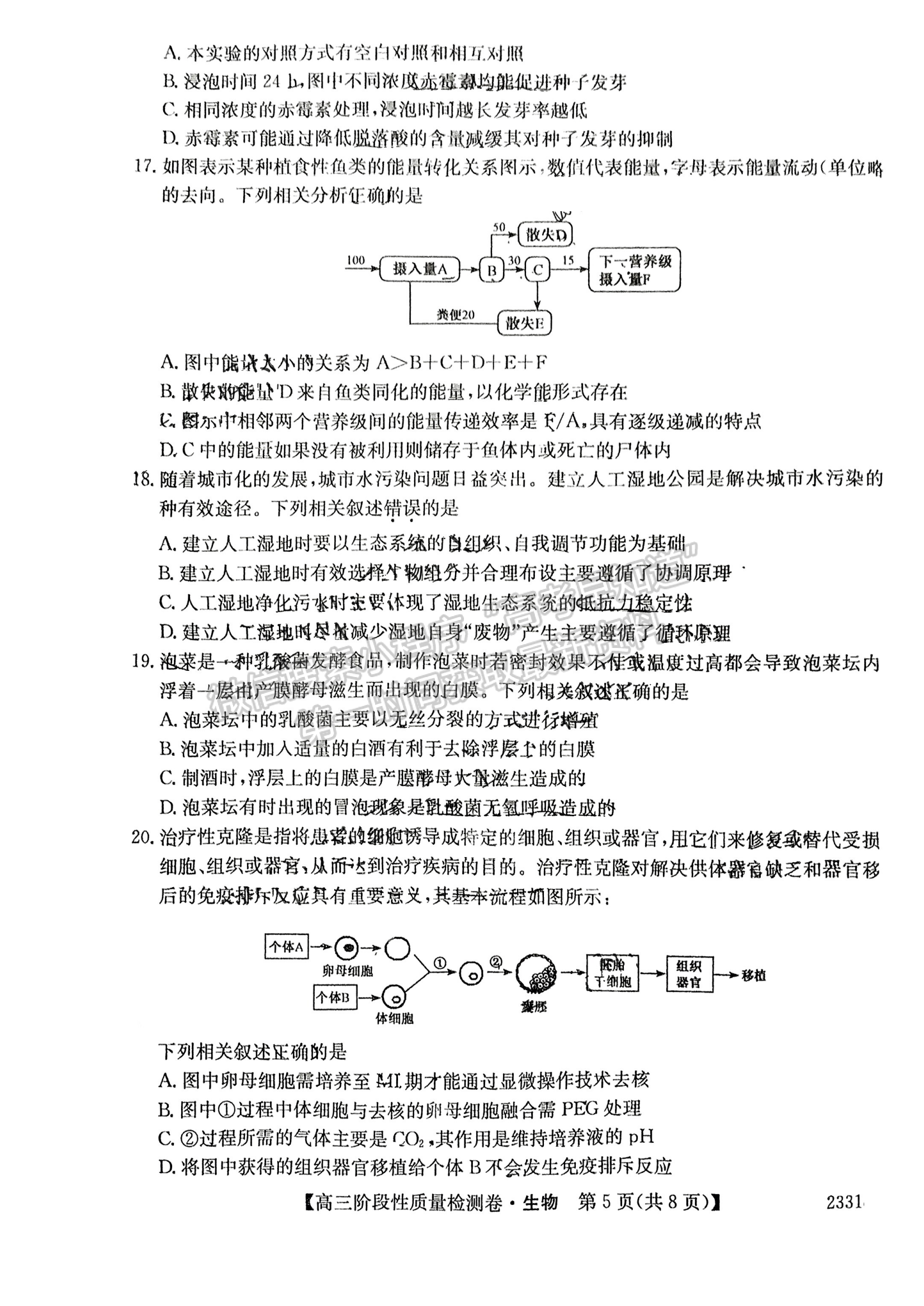 2023安徽皖優(yōu)聯(lián)盟高三階段性質(zhì)量檢測(cè)生物試卷及答案