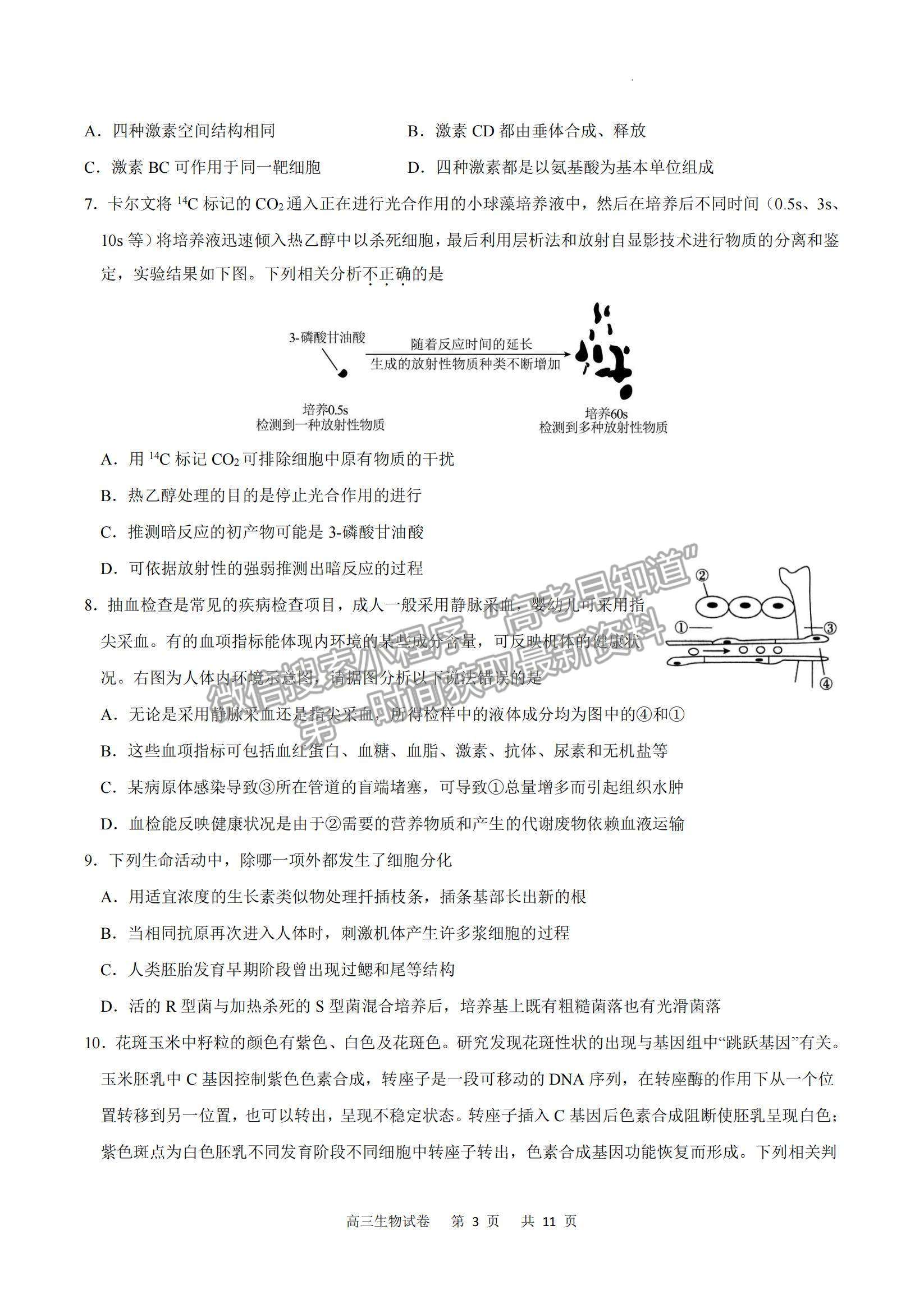 2023重慶市縉云教育聯(lián)盟高三8月質(zhì)檢生物試題及參考答案