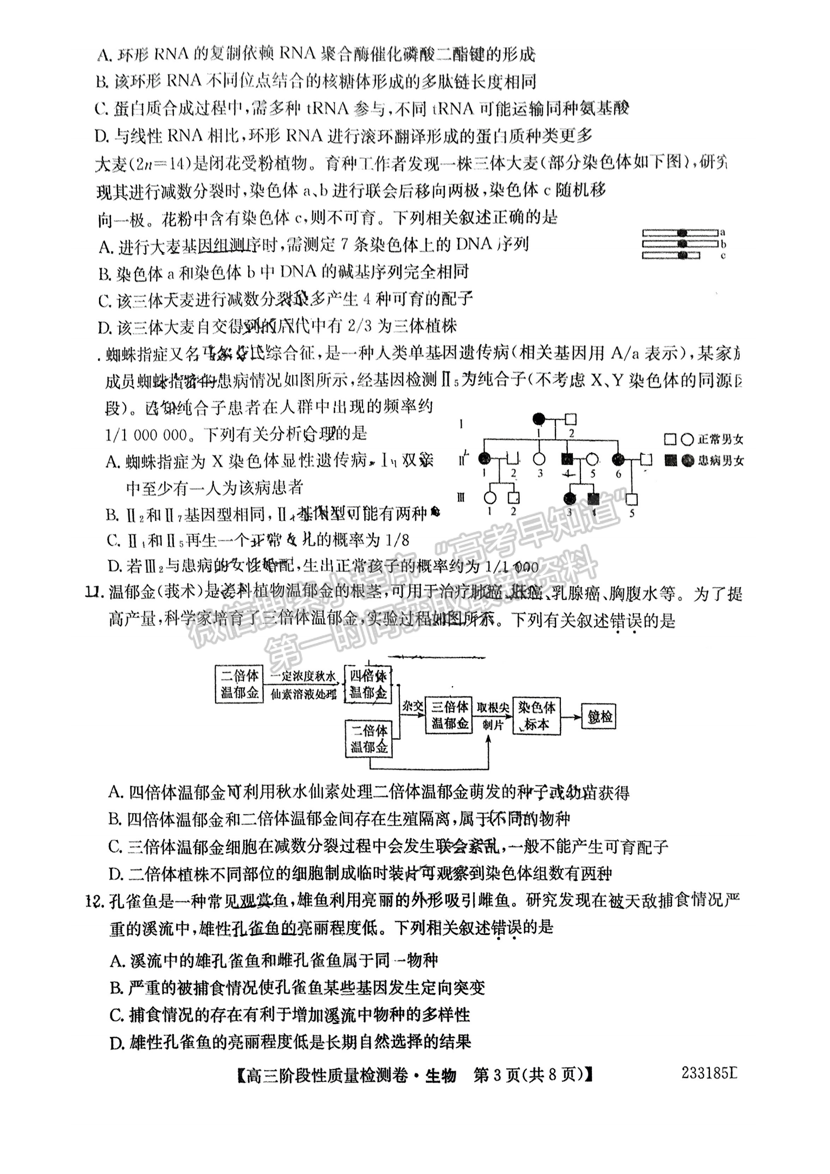 2023安徽皖優(yōu)聯(lián)盟高三階段性質(zhì)量檢測生物試卷及答案