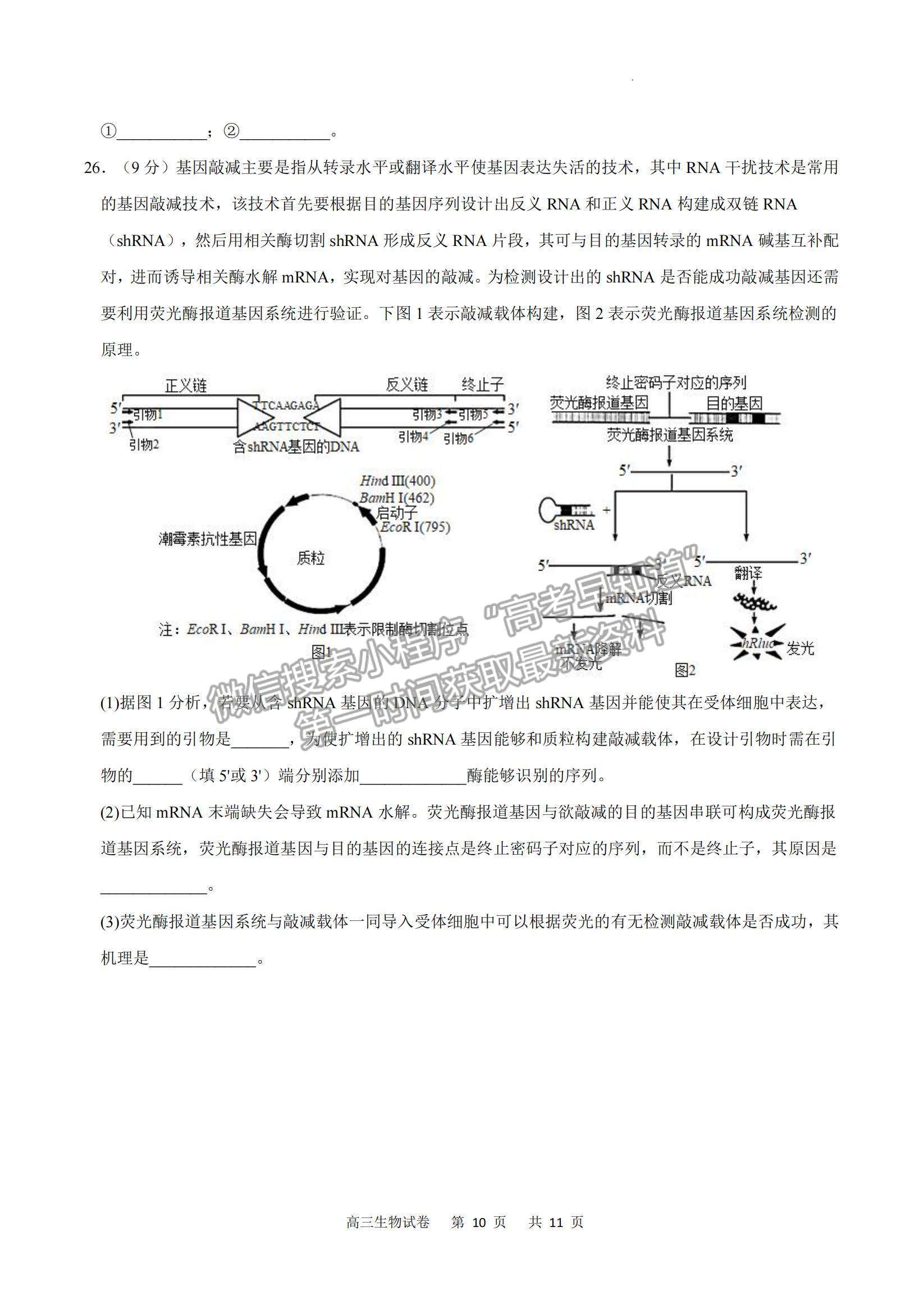 2023重慶市縉云教育聯(lián)盟高三8月質(zhì)檢生物試題及參考答案