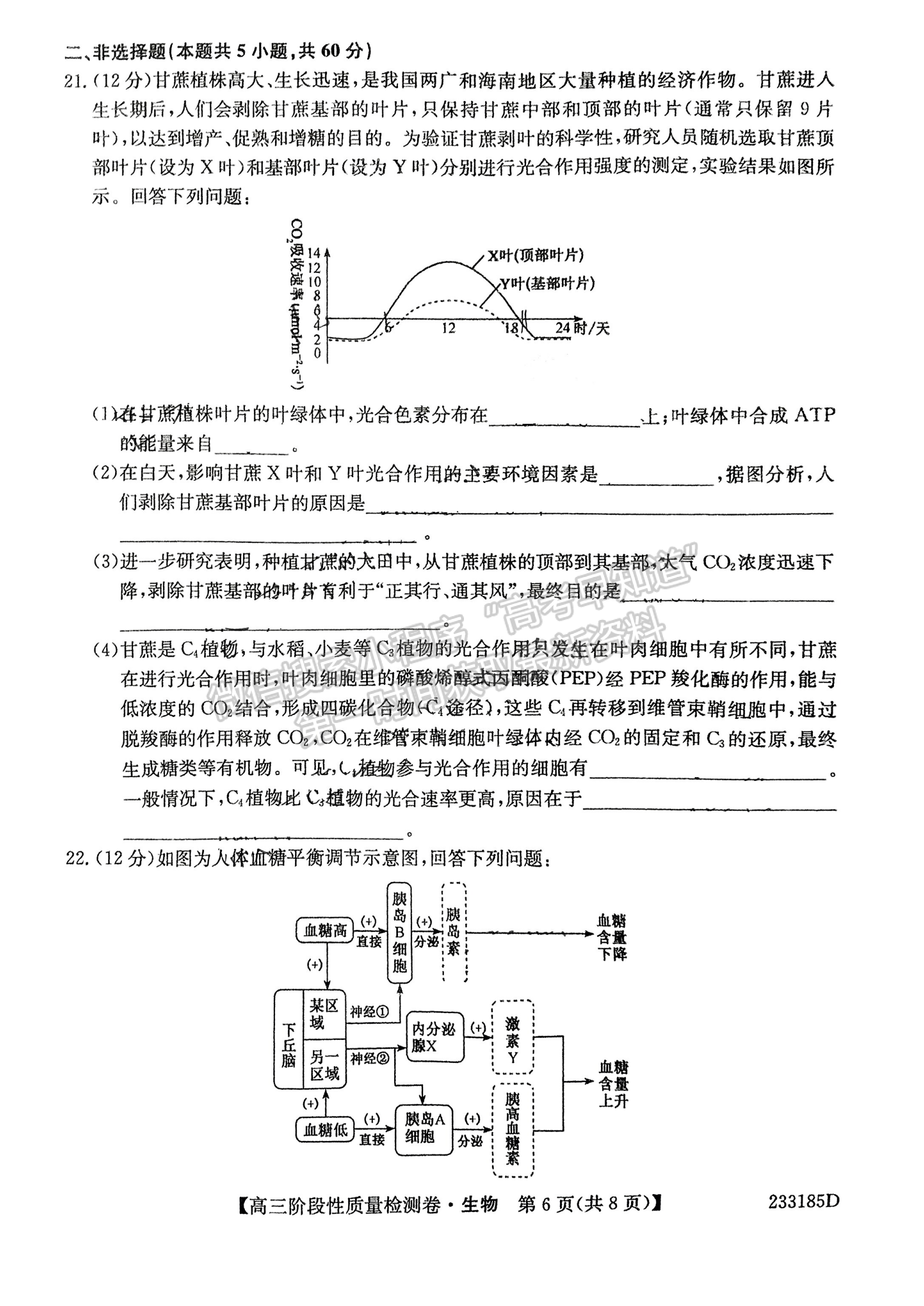 2023安徽皖優(yōu)聯(lián)盟高三階段性質(zhì)量檢測(cè)生物試卷及答案