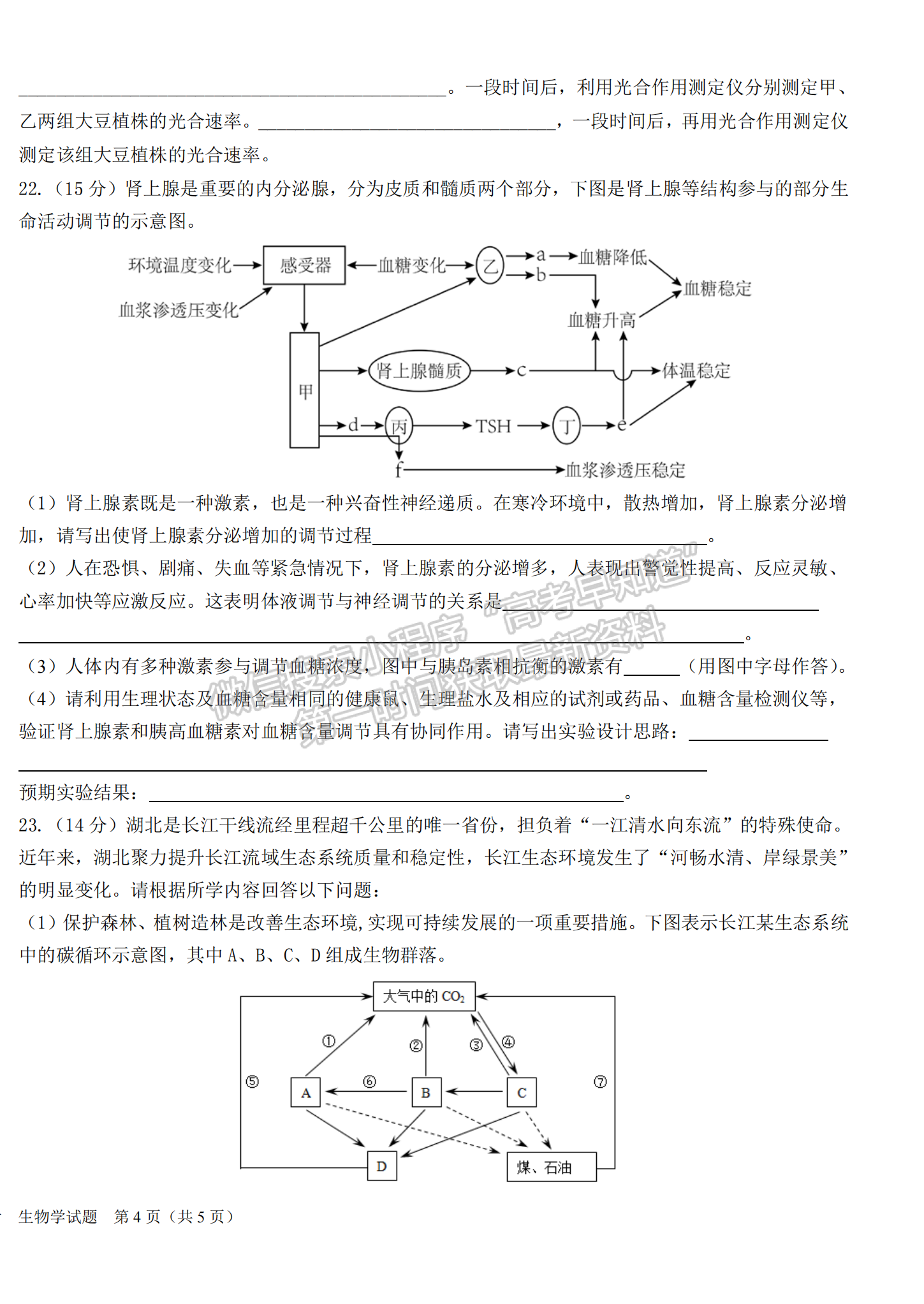 2023屆高三湖北十一校（鄂南高中、黃岡中學(xué)等）第一次聯(lián)考生物試題及參考答案