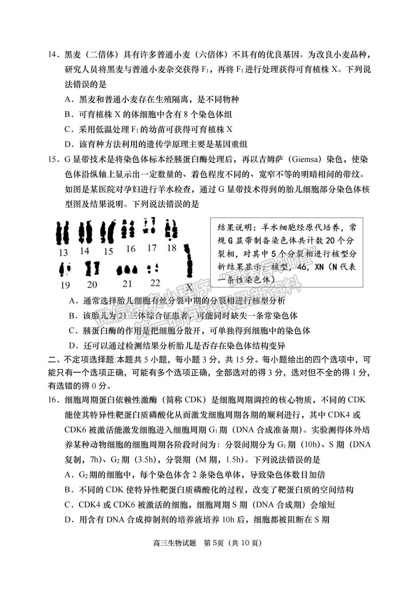 2023山東省青島西海岸、平度、膠州、城陽(yáng)四區(qū)高三上學(xué)期期中考試-生物試卷及答案