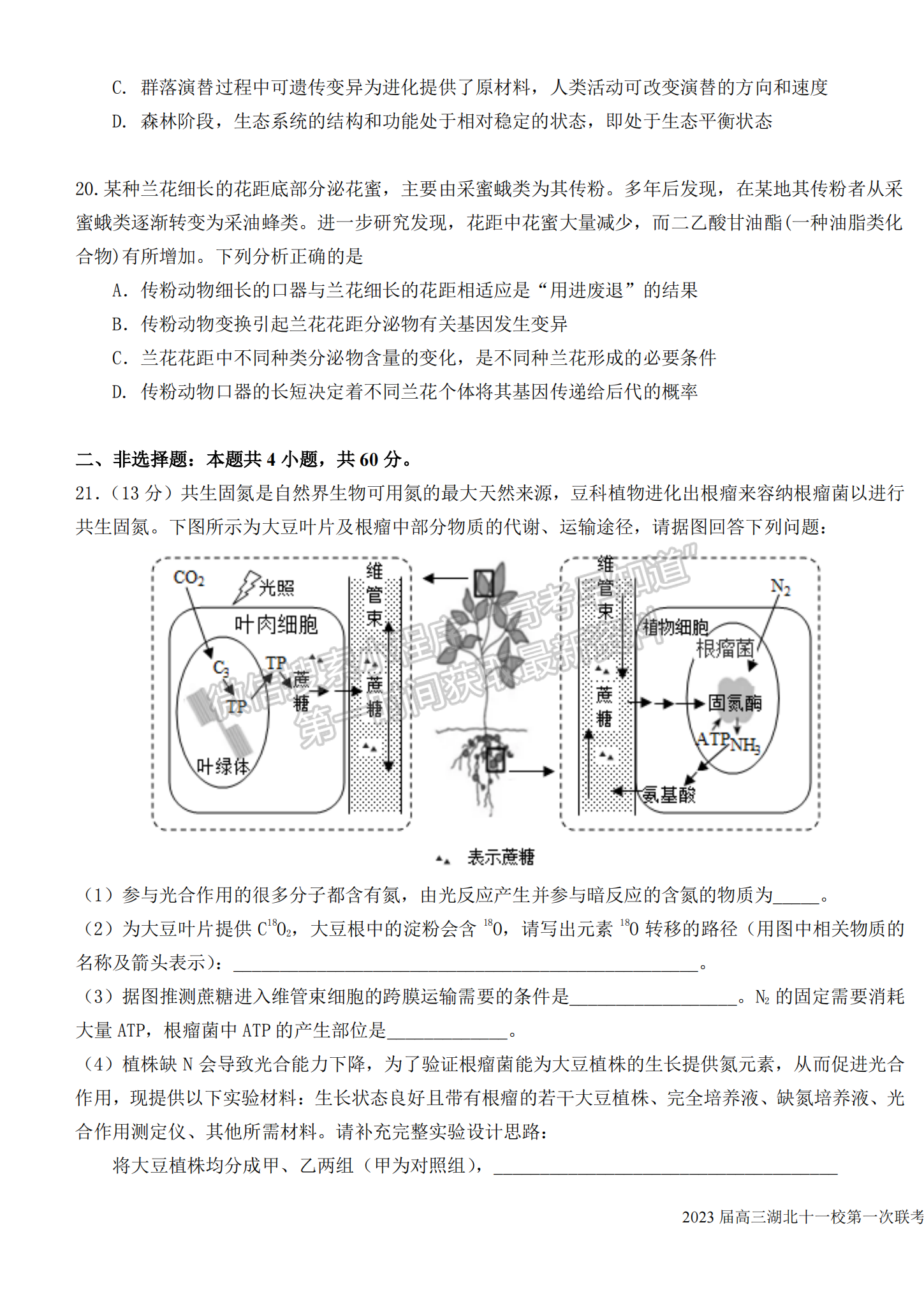 2023屆高三湖北十一校（鄂南高中、黃岡中學(xué)等）第一次聯(lián)考生物試題及參考答案