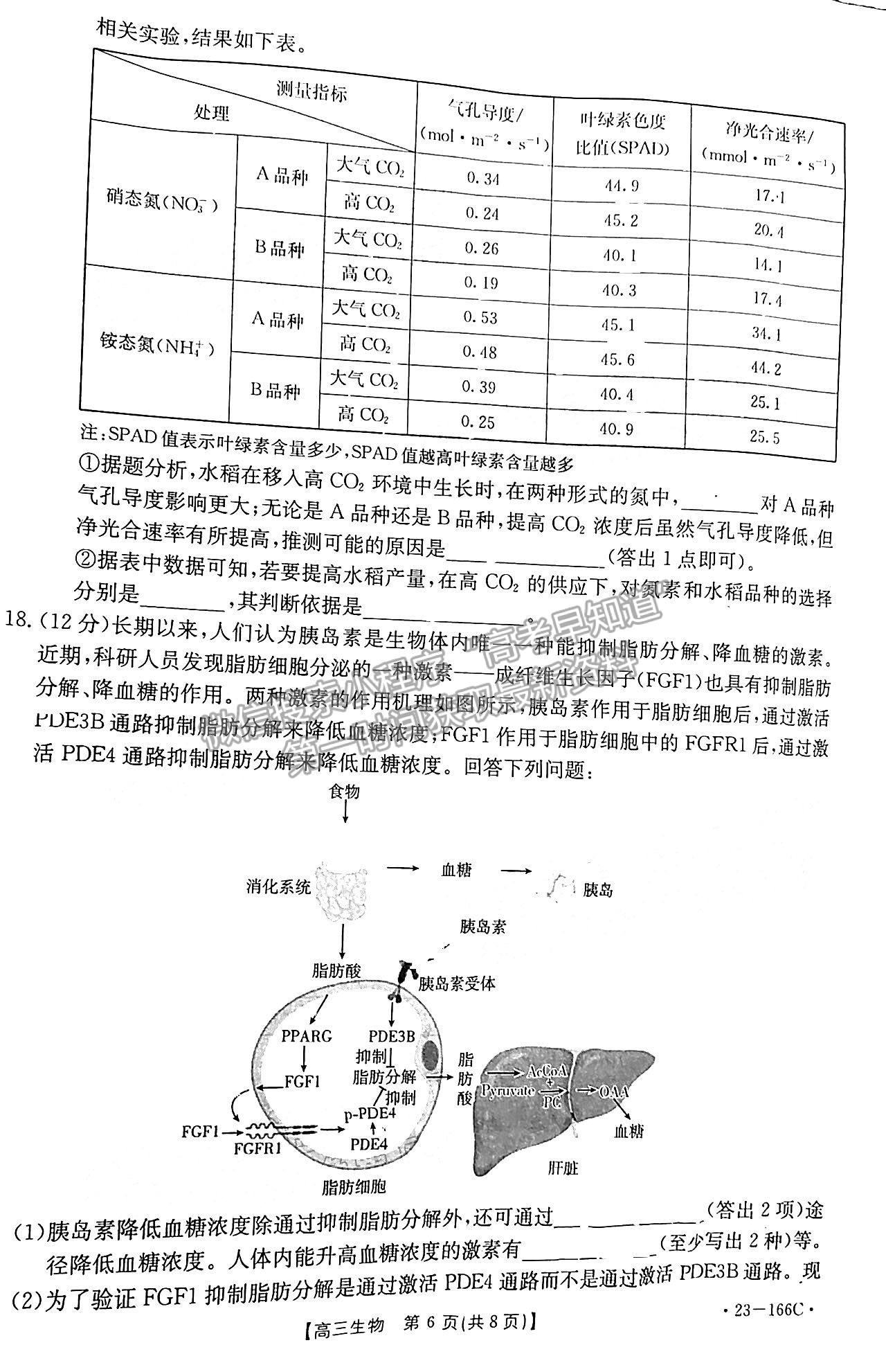 2023廣東高三12月大聯(lián)考（23-166C）生物試題及答案