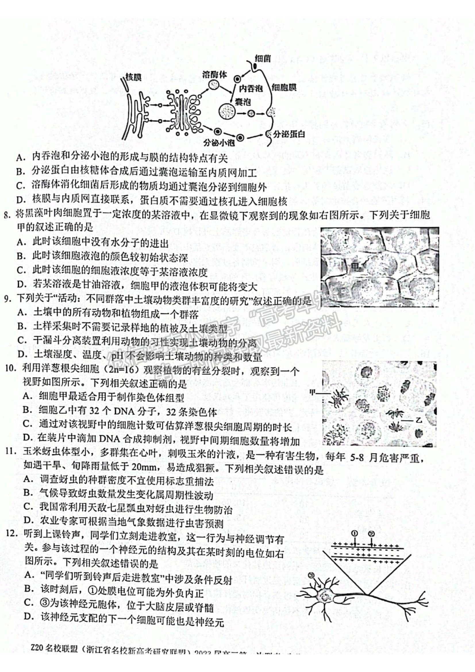 2023浙江省Z20名校聯(lián)盟（名校新高考研究聯(lián)盟）高三第一次聯(lián)考生物試題及參考答案