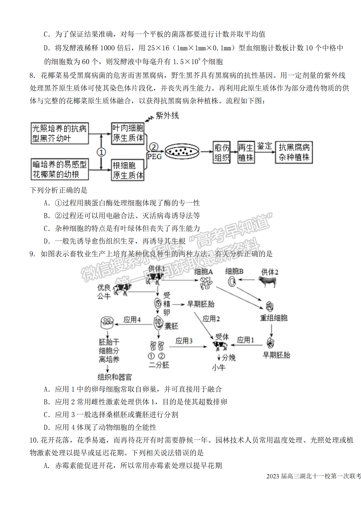 2023屆高三湖北十一校（鄂南高中、黃岡中學(xué)等）第一次聯(lián)考生物試題及參考答案