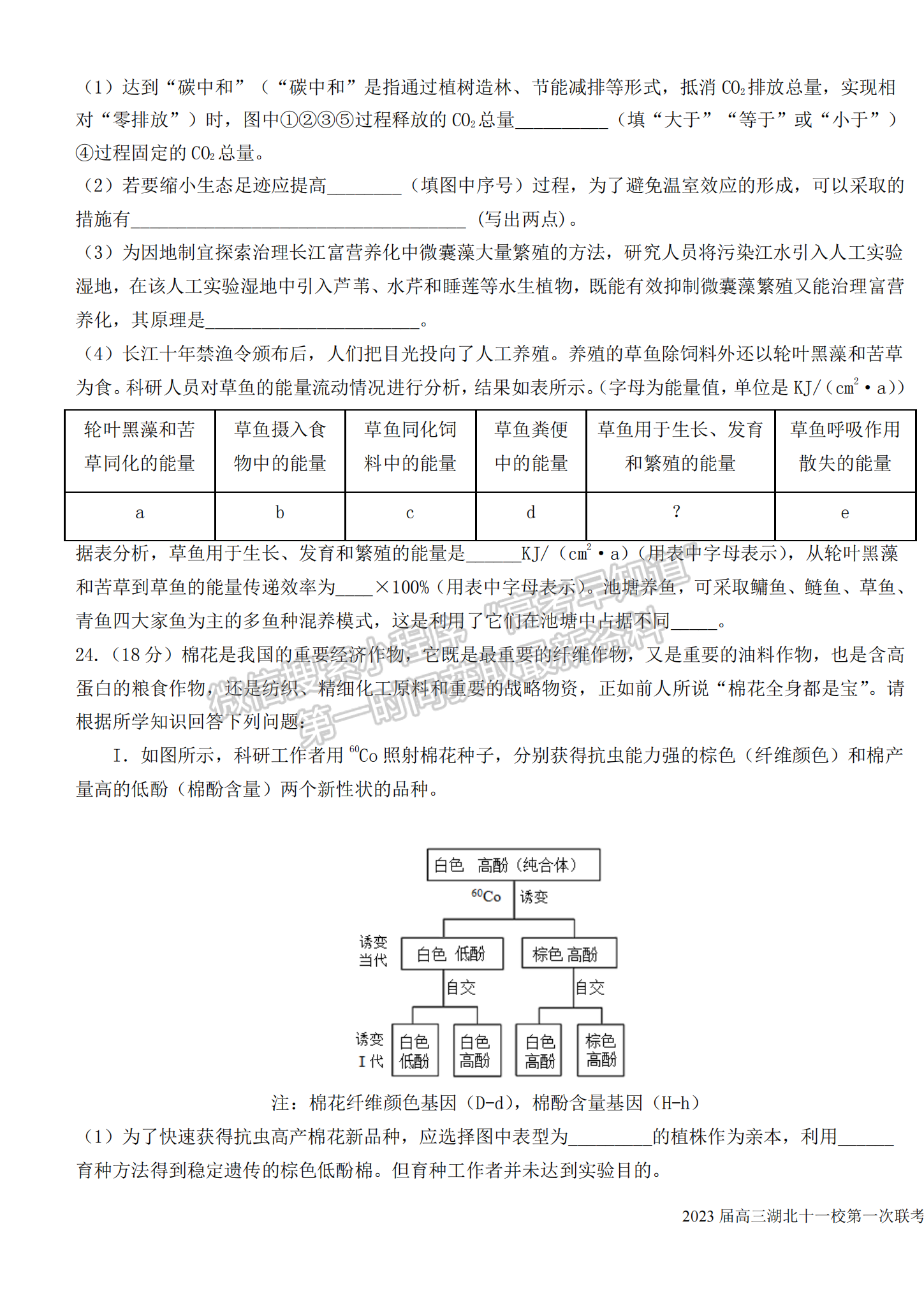 2023屆高三湖北十一校（鄂南高中、黃岡中學(xué)等）第一次聯(lián)考生物試題及參考答案