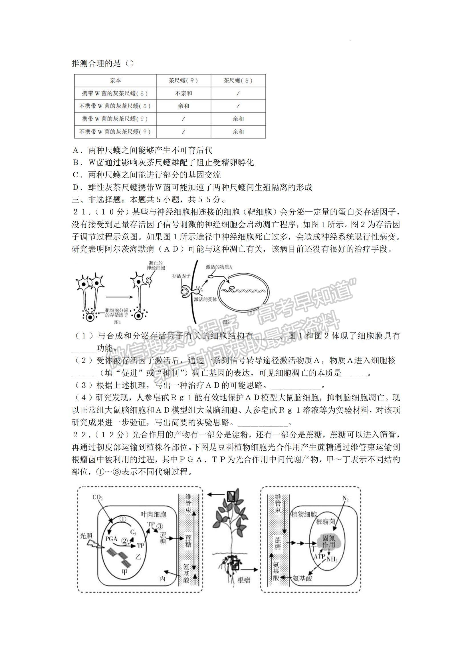 2023山東省臨沂市高三上學(xué)期期中考-生物試卷及答案