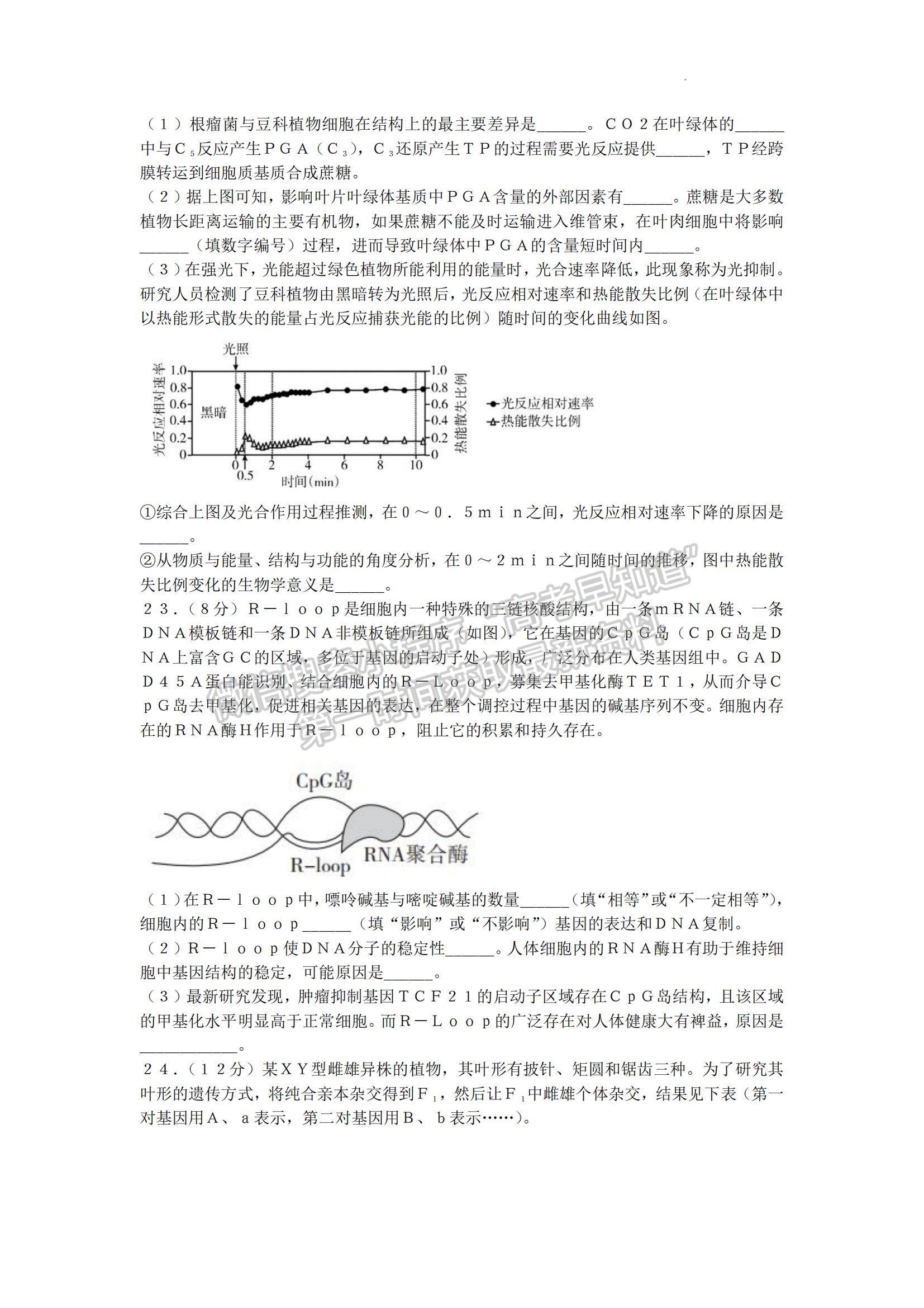 2023山東省臨沂市高三上學(xué)期期中考-生物試卷及答案