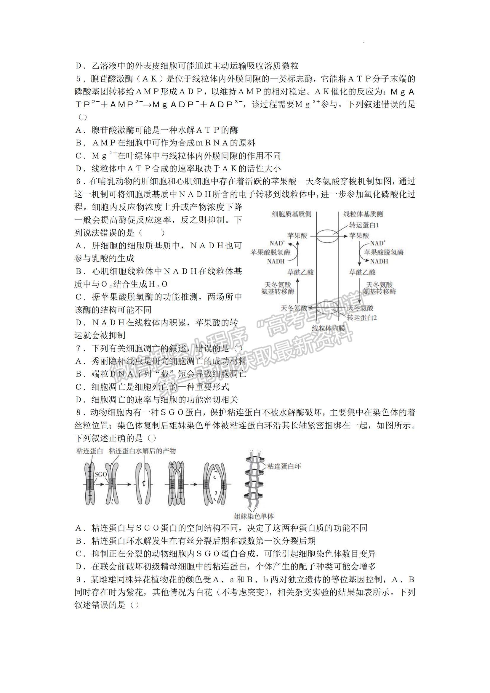 2023山東省臨沂市高三上學(xué)期期中考-生物試卷及答案