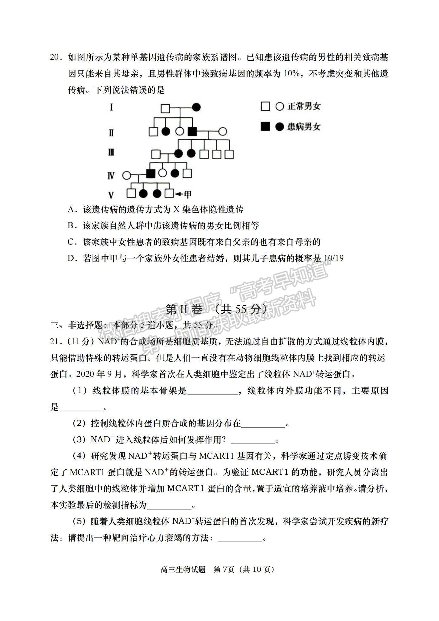 2023山東省青島西海岸、平度、膠州、城陽(yáng)四區(qū)高三上學(xué)期期中考試-生物試卷及答案