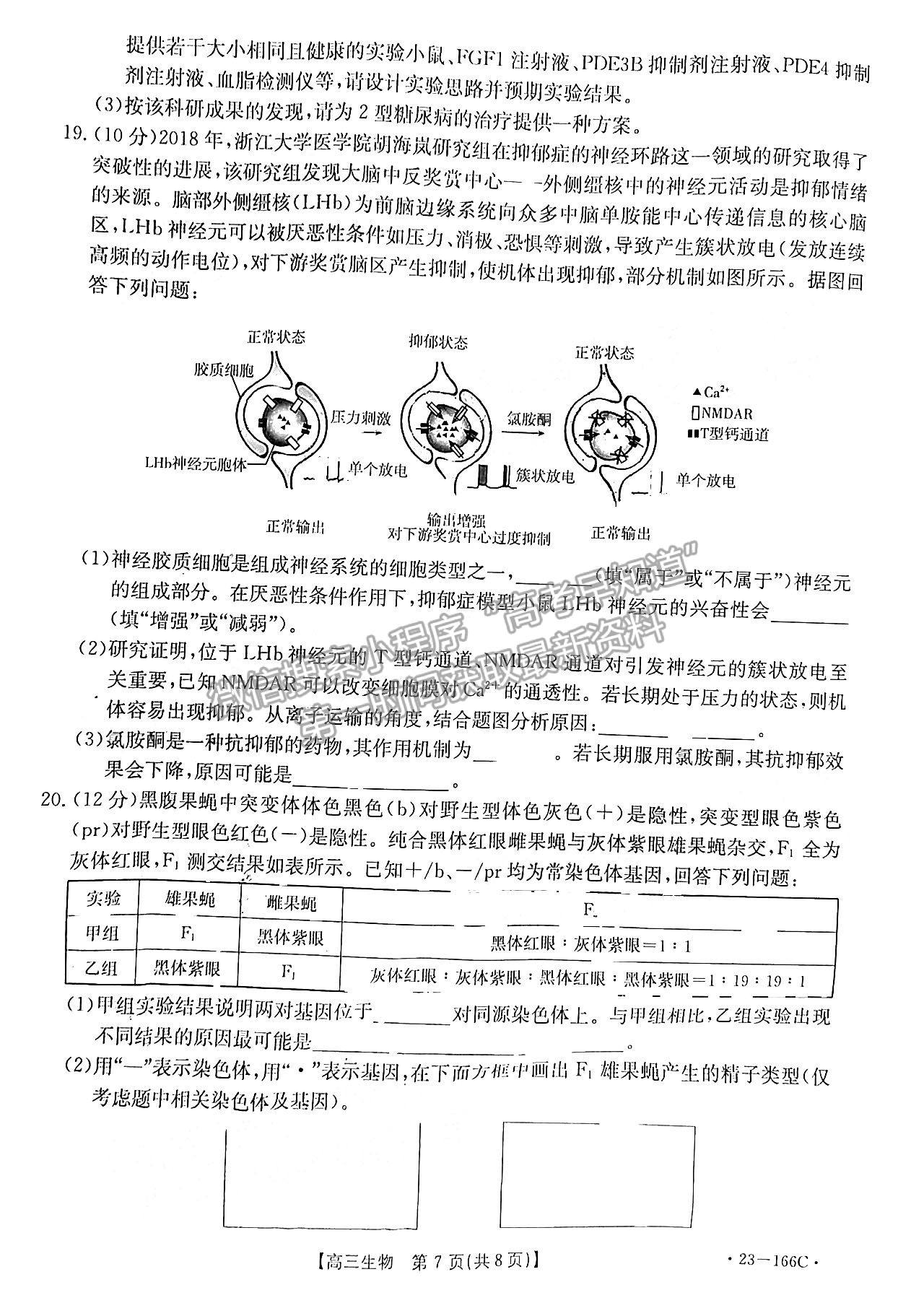 2023廣東高三12月大聯(lián)考（23-166C）生物試題及答案