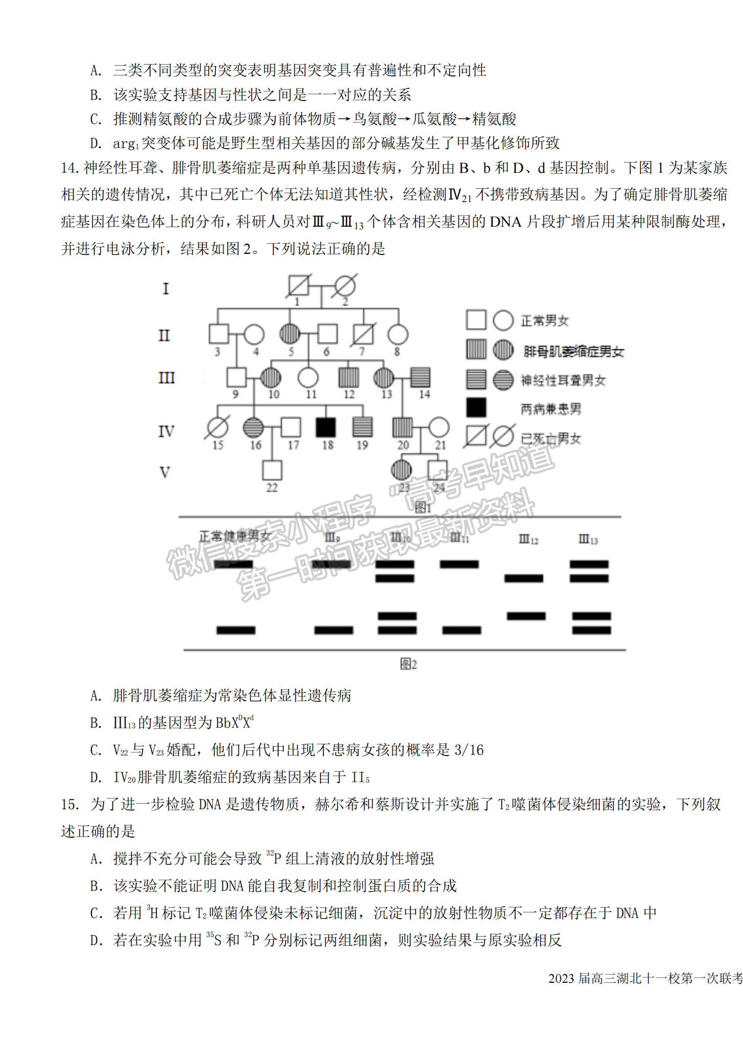 2023屆高三湖北十一校（鄂南高中、黃岡中學(xué)等）第一次聯(lián)考生物試題及參考答案