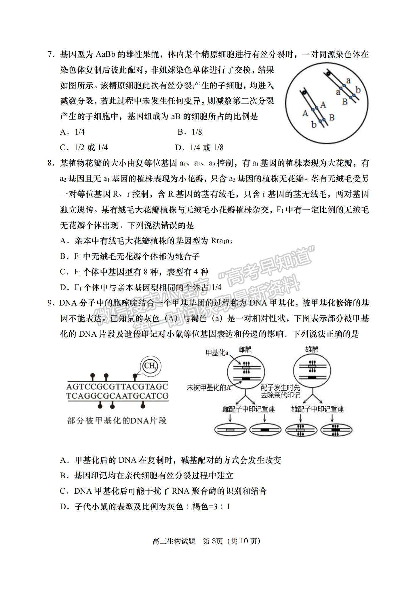 2023山東省青島西海岸、平度、膠州、城陽四區(qū)高三上學(xué)期期中考試-生物試卷及答案