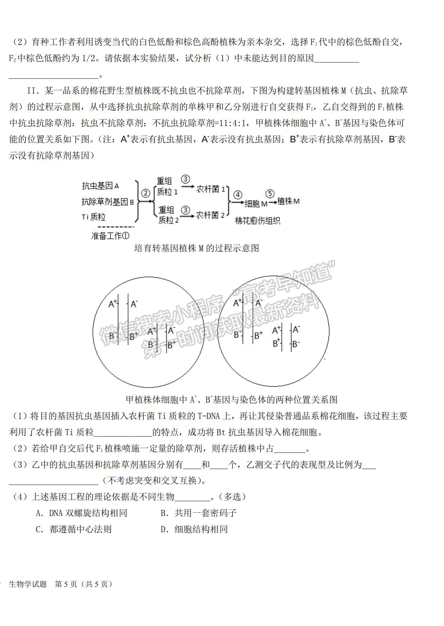 2023屆高三湖北十一校（鄂南高中、黃岡中學(xué)等）第一次聯(lián)考生物試題及參考答案