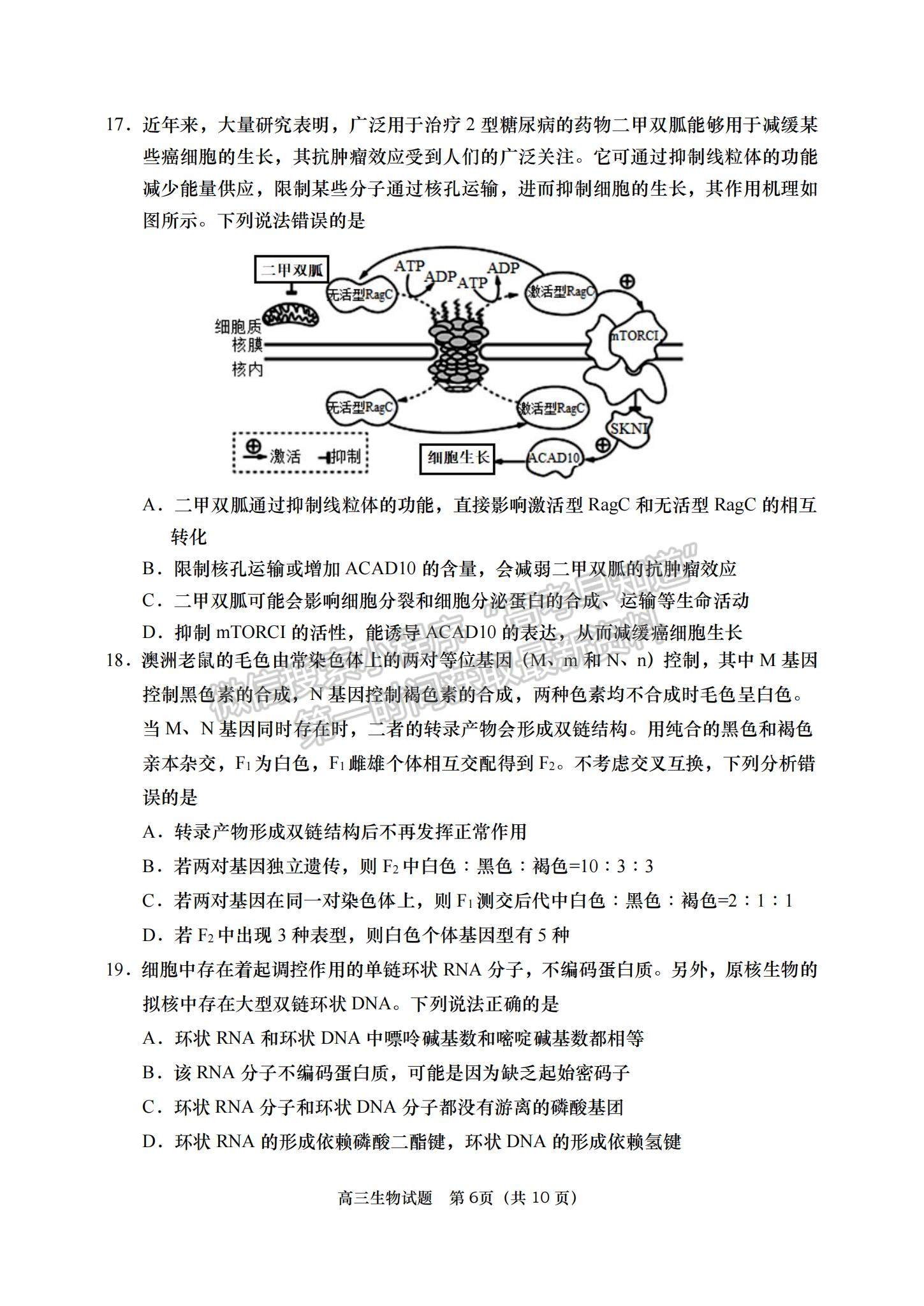 2023山東省青島西海岸、平度、膠州、城陽四區(qū)高三上學(xué)期期中考試-生物試卷及答案