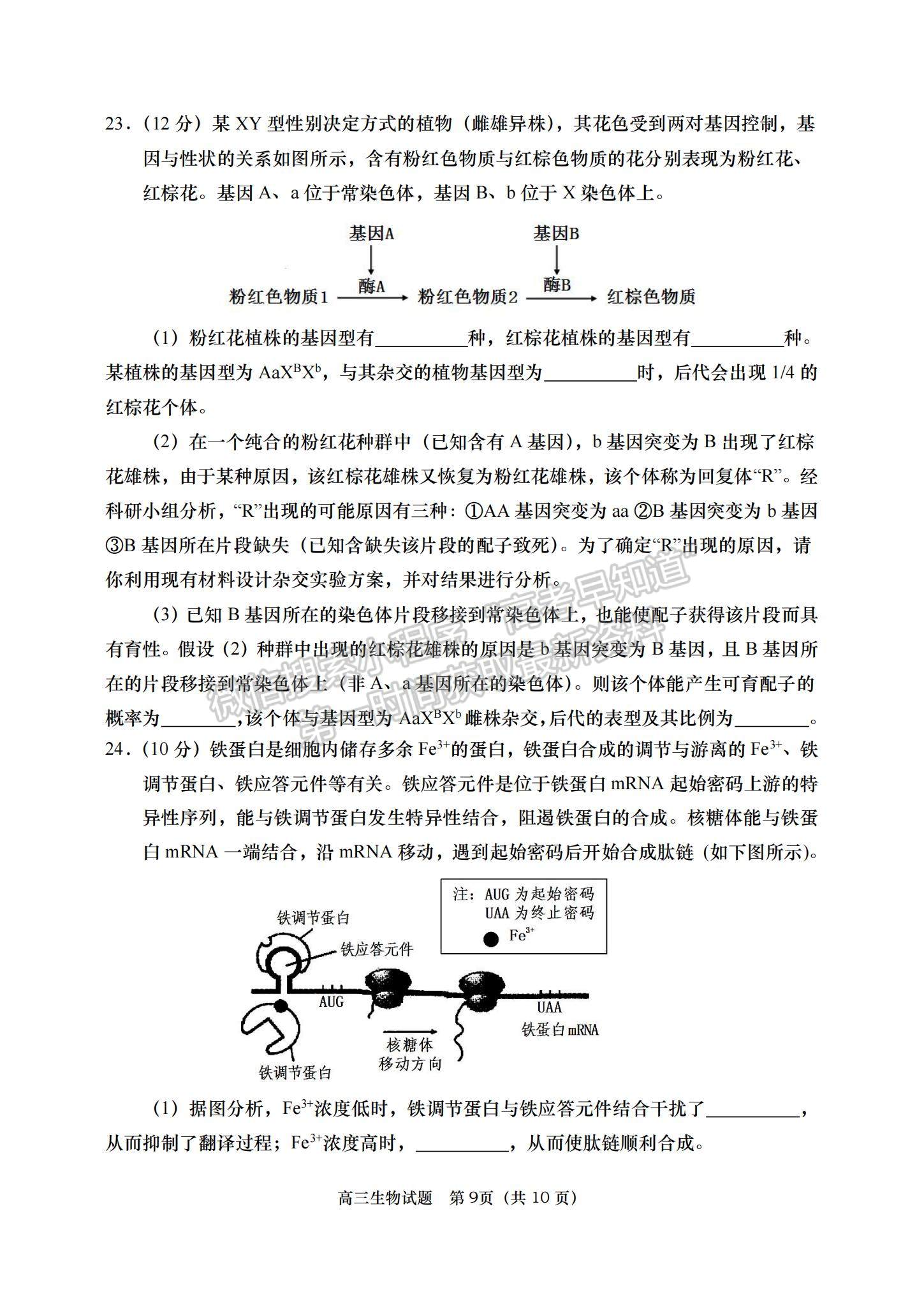 2023山東省青島西海岸、平度、膠州、城陽四區(qū)高三上學(xué)期期中考試-生物試卷及答案