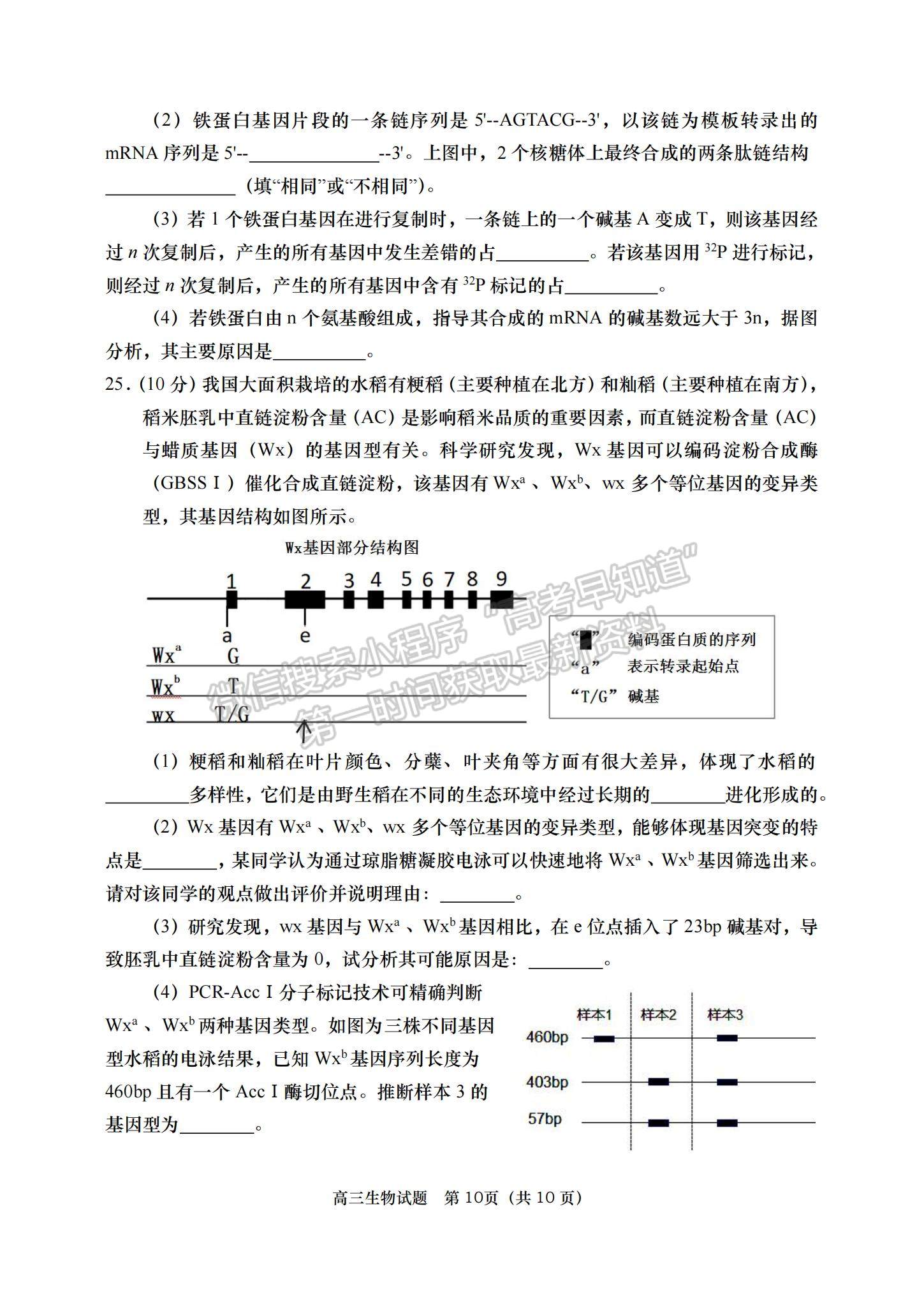 2023山東省青島西海岸、平度、膠州、城陽(yáng)四區(qū)高三上學(xué)期期中考試-生物試卷及答案