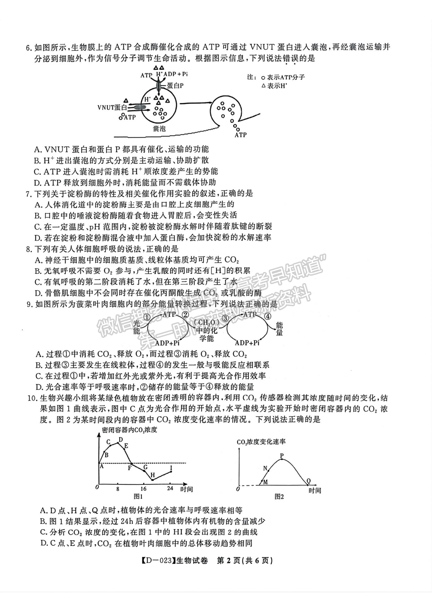 2023安徽皖江名校全國卷大聯(lián)考12月聯(lián)考生物試卷及答案