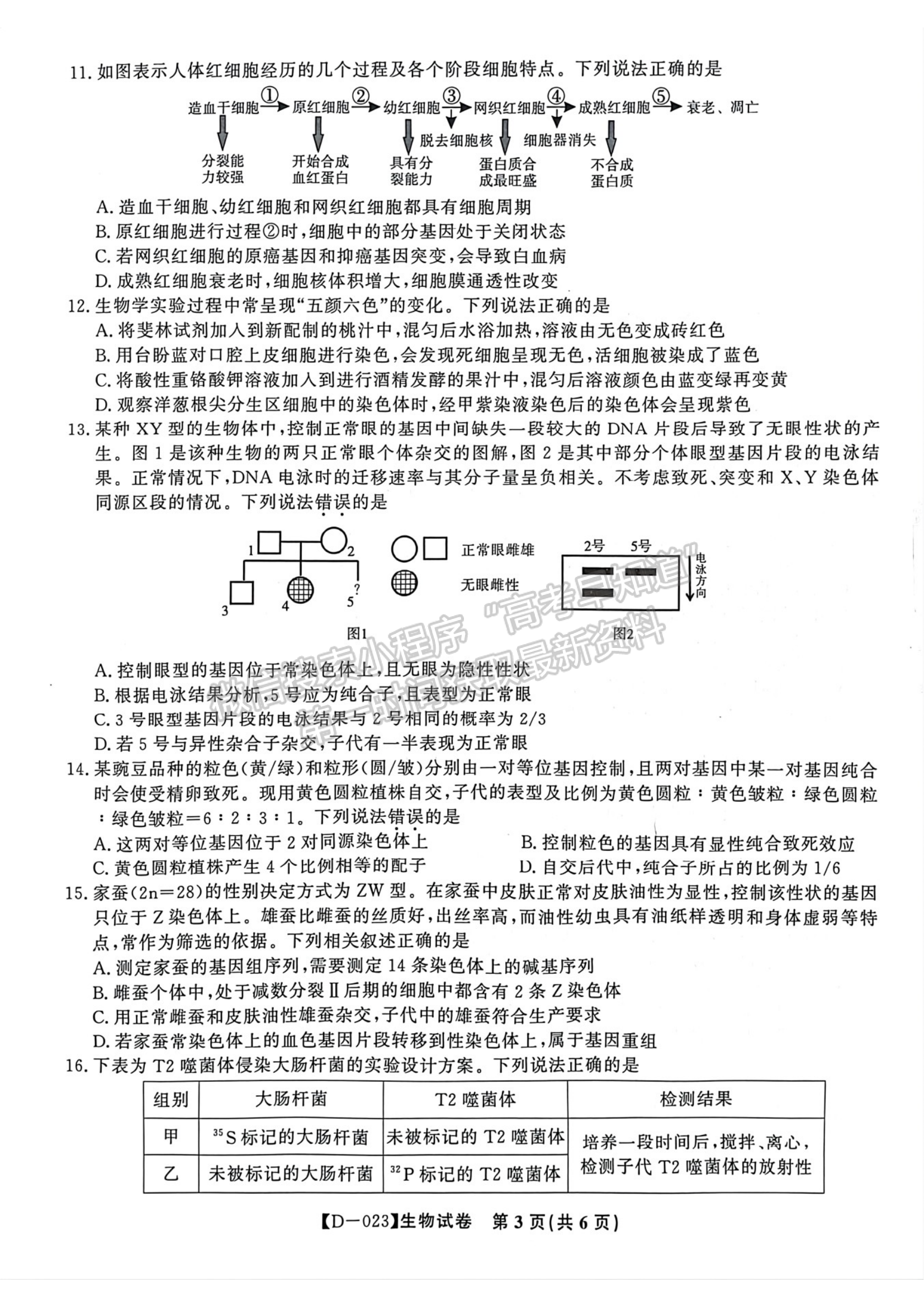 2023安徽皖江名校全國卷大聯(lián)考12月聯(lián)考生物試卷及答案