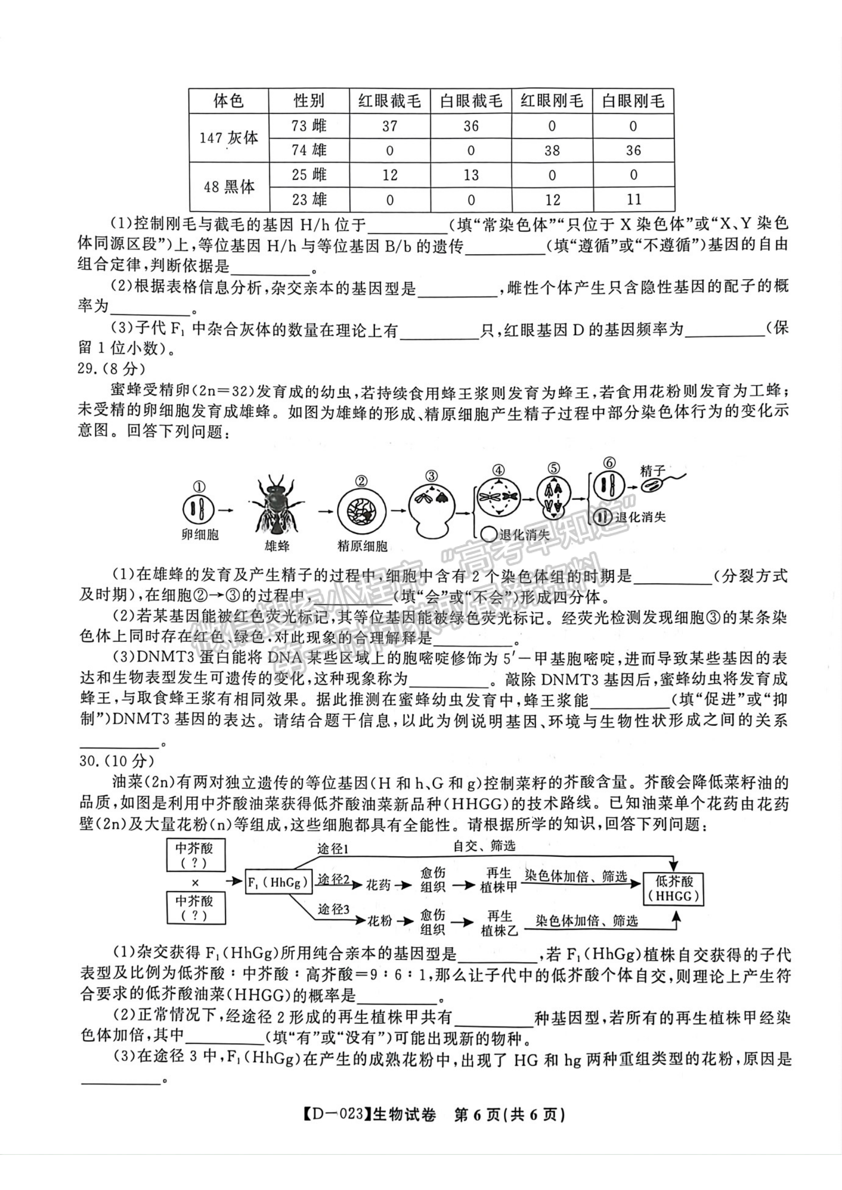 2023安徽皖江名校全國(guó)卷大聯(lián)考12月聯(lián)考生物試卷及答案